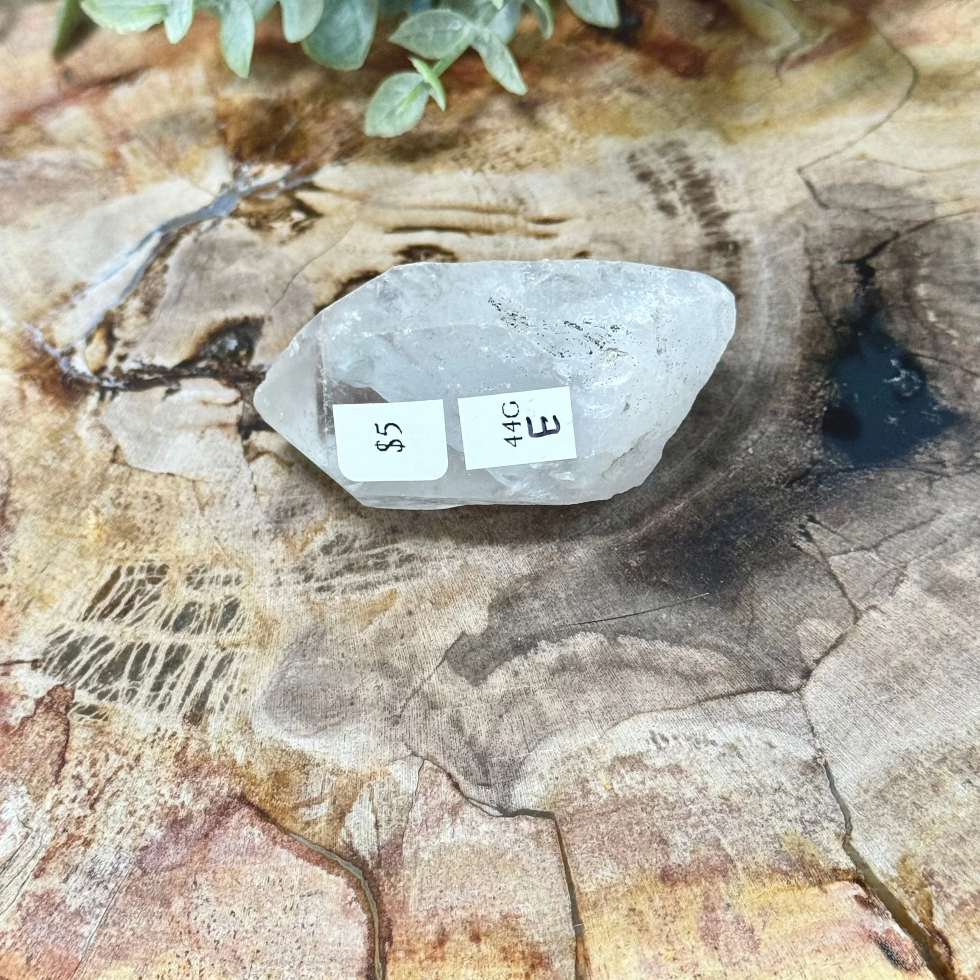 E 2_-44g.jpg