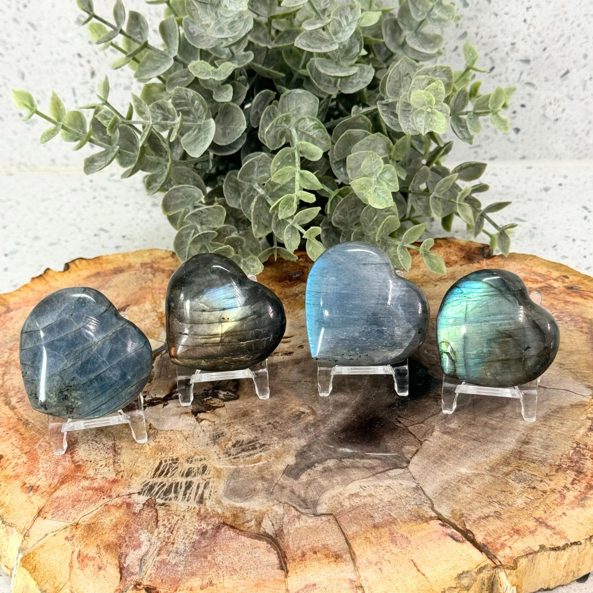 Title Page.jpg