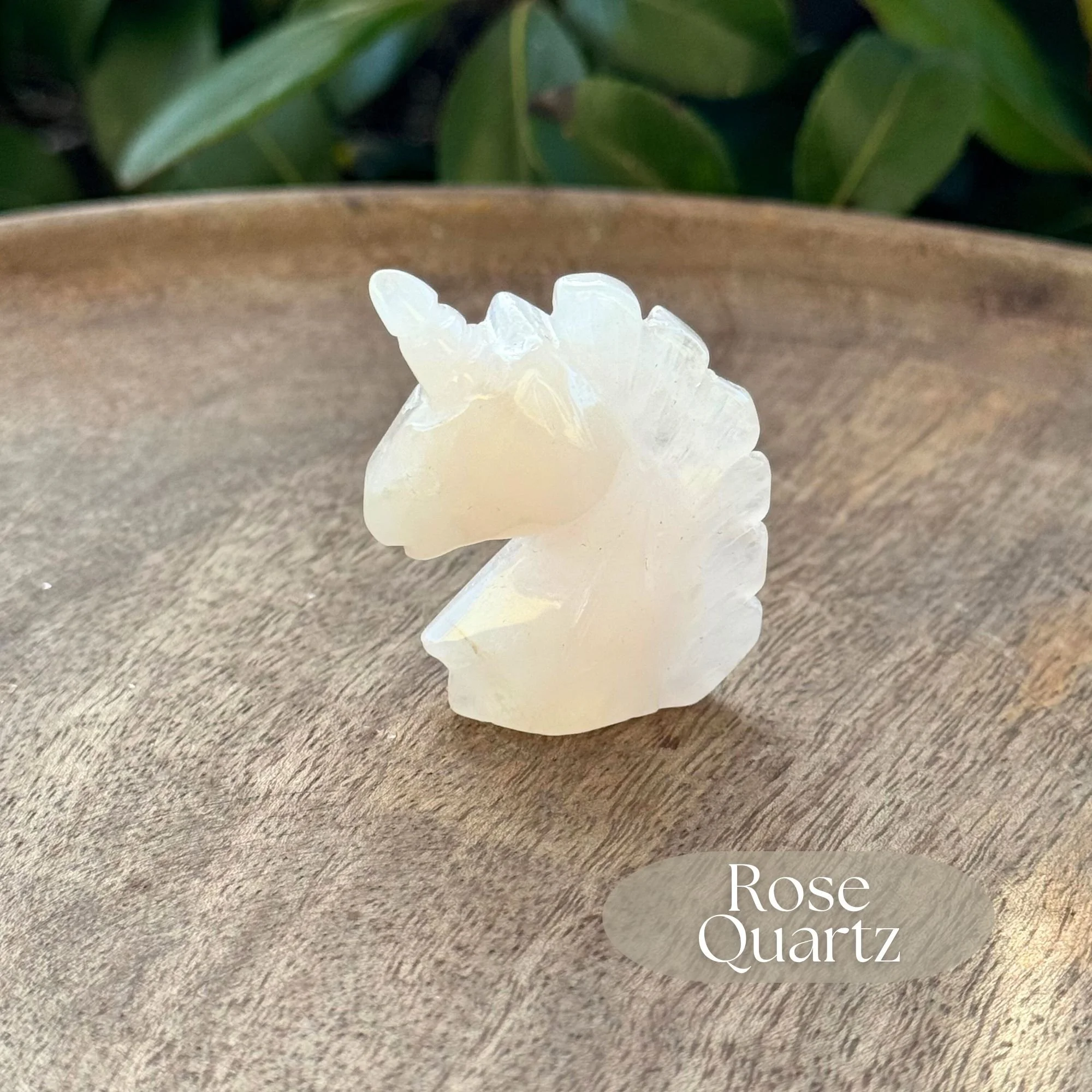 Close up view of a pale pink Rose Quartz Unicorn Head Carving on wooden dish with green bush in the background