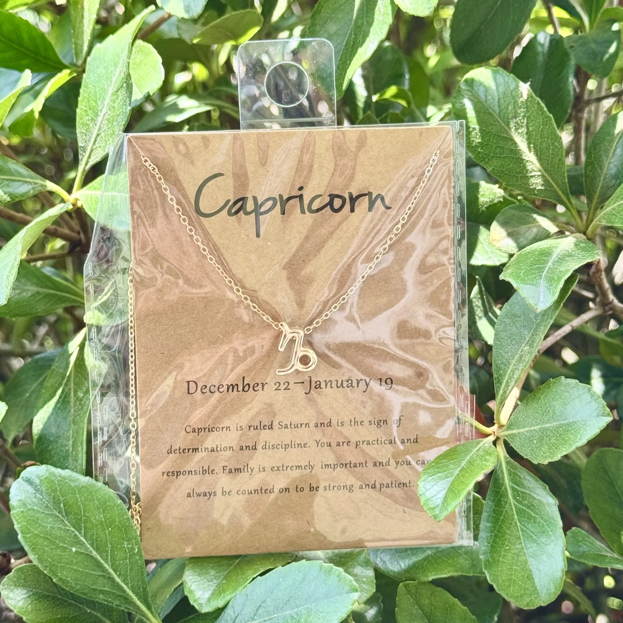 Capricorn.jpg