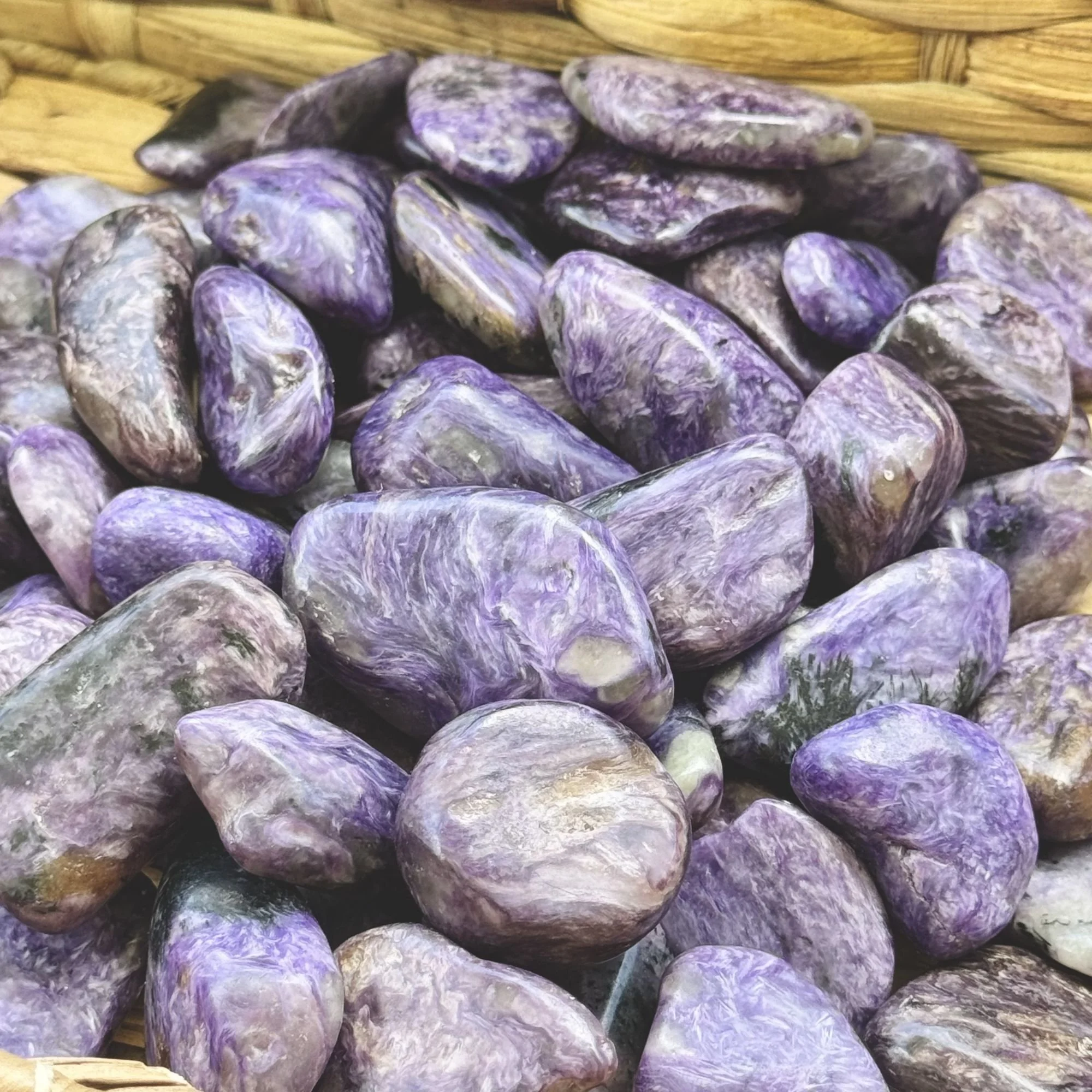 Med-Lg Pieces Close-Up.jpg