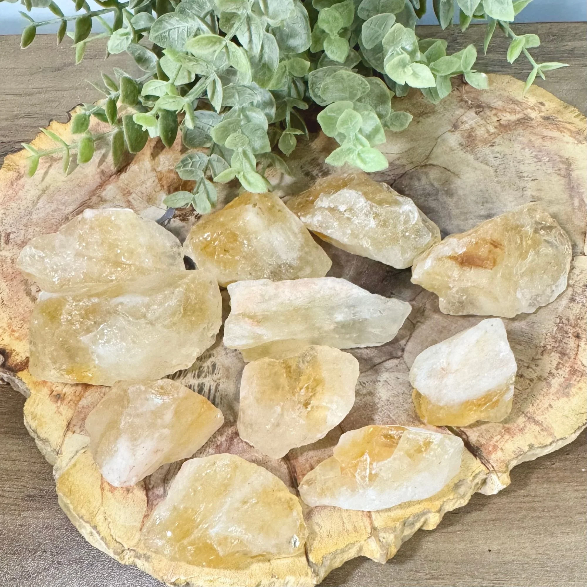 Natural Brazilian Citrine Crystal | Abundance & Manifestation