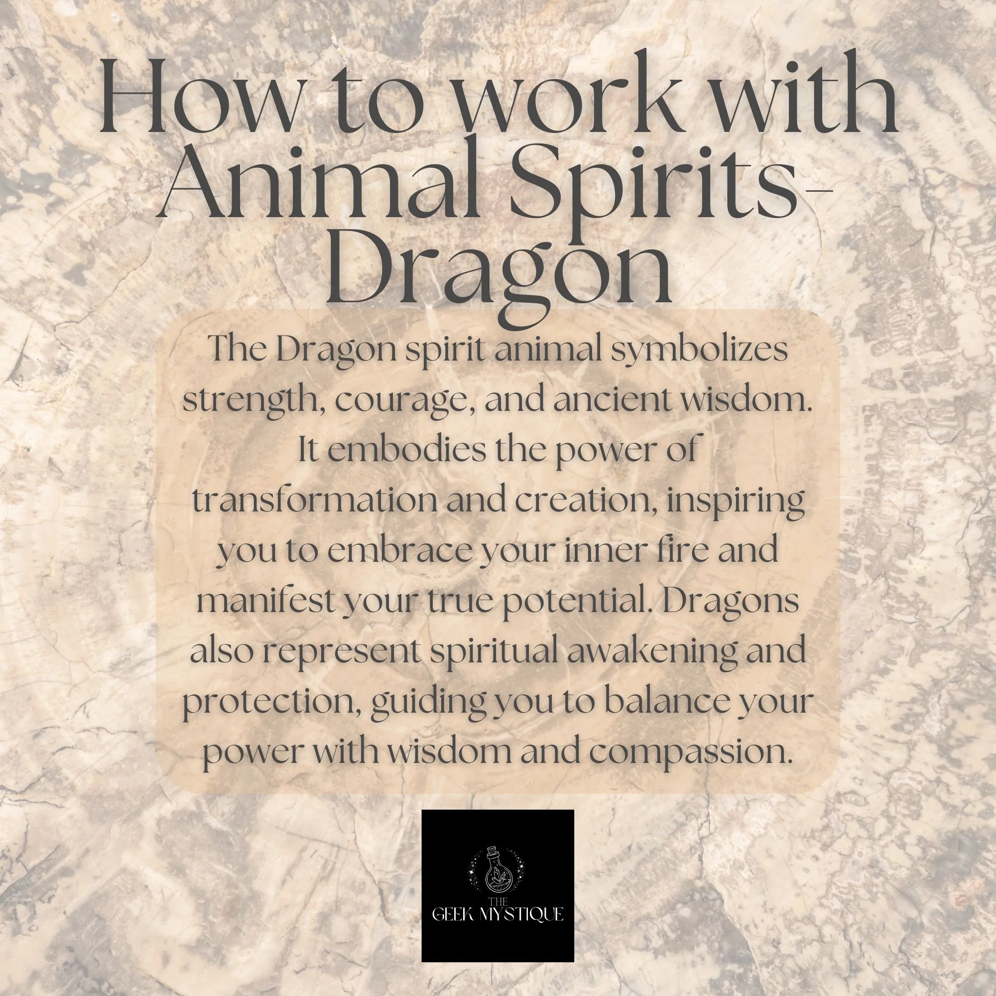Dragon Info.jpg