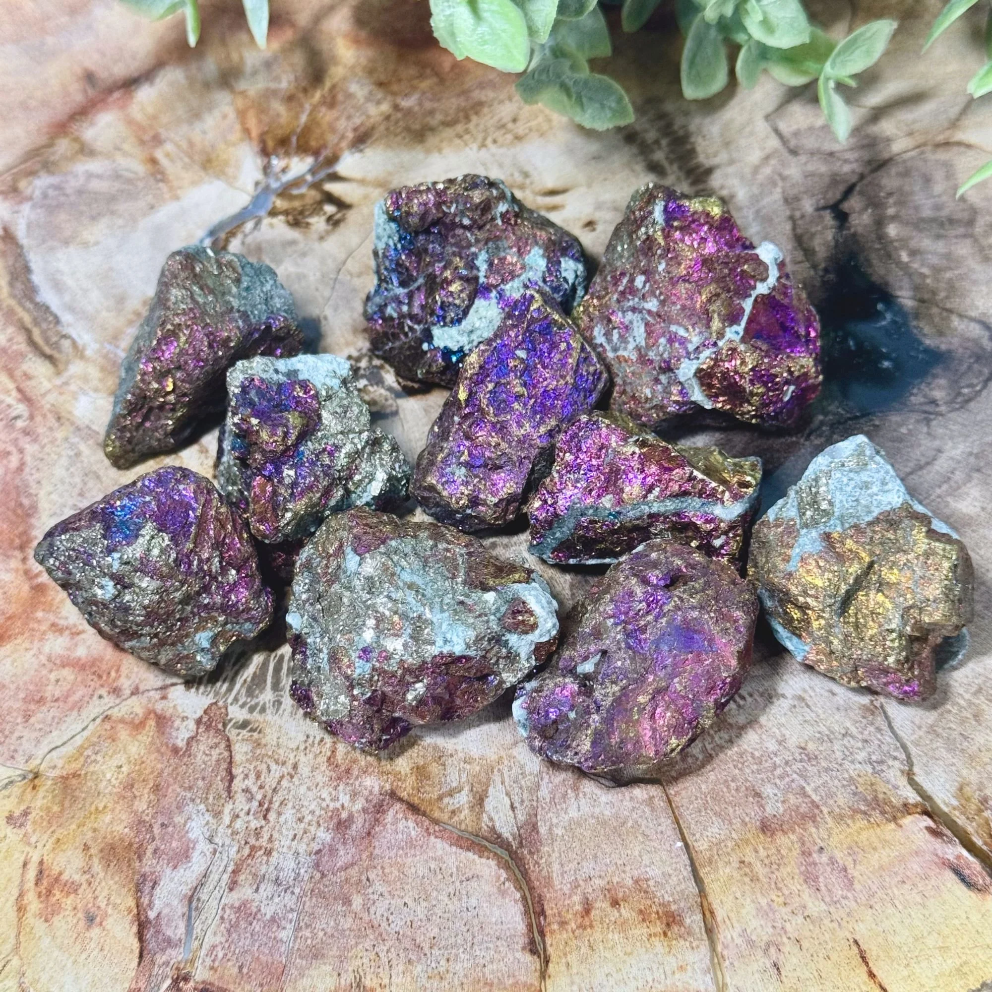 Natural Rough Peacock Ore (Chalcopyrite) | Raw Crystal Specimen