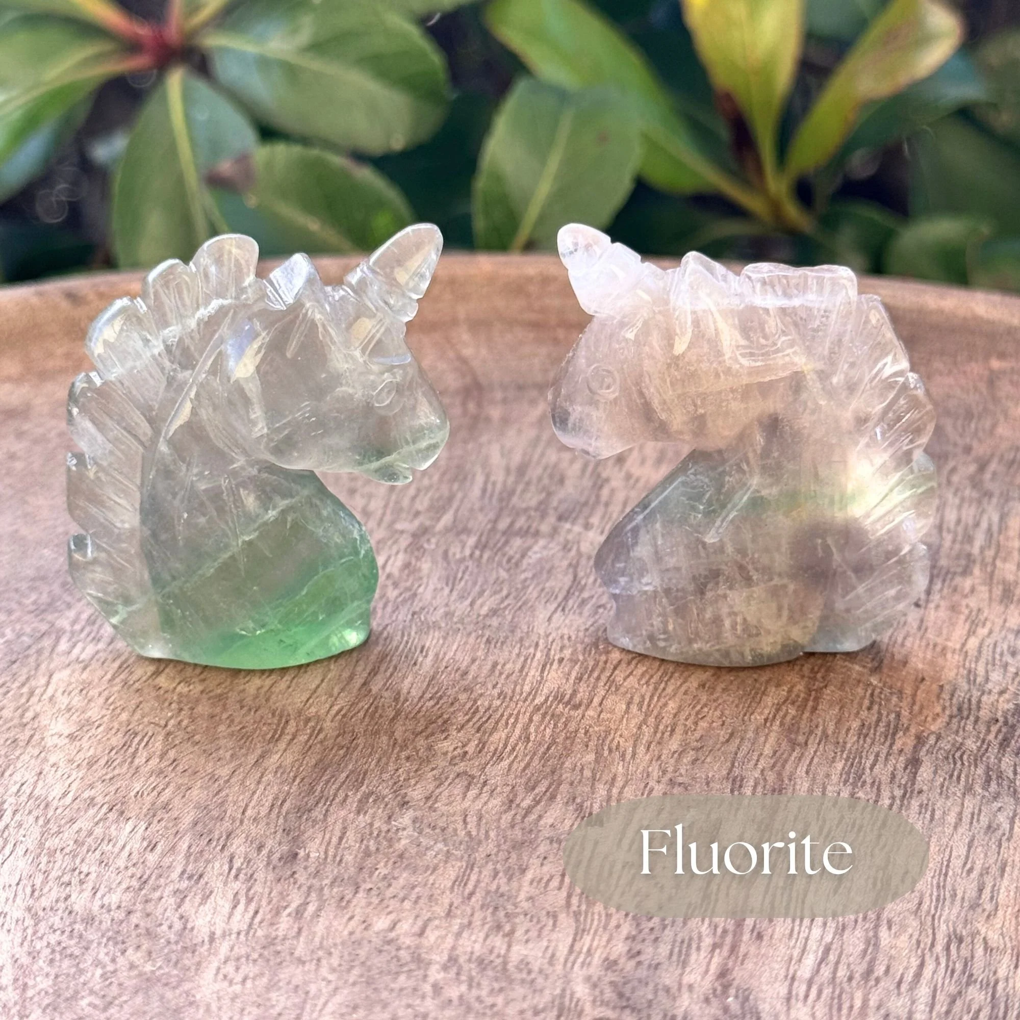 Close up view of 2 Fluorite Unicorn Head Carvings on wooden dish with green bush in the background