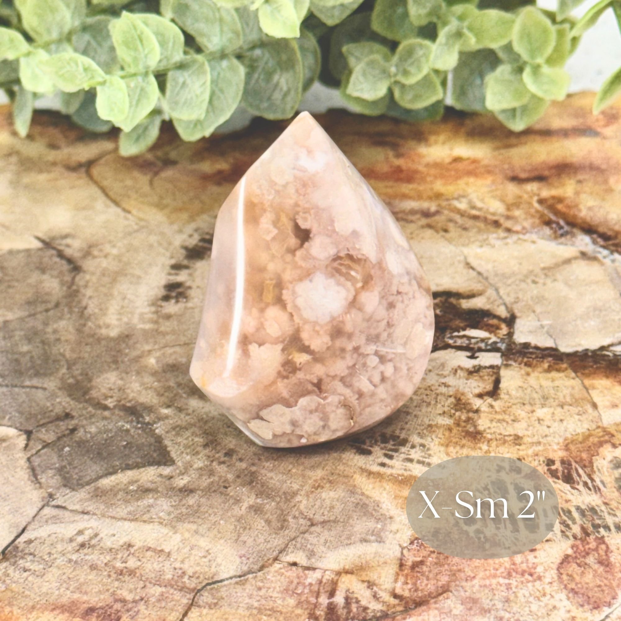 X-Sm 2_ Side Close up.jpg