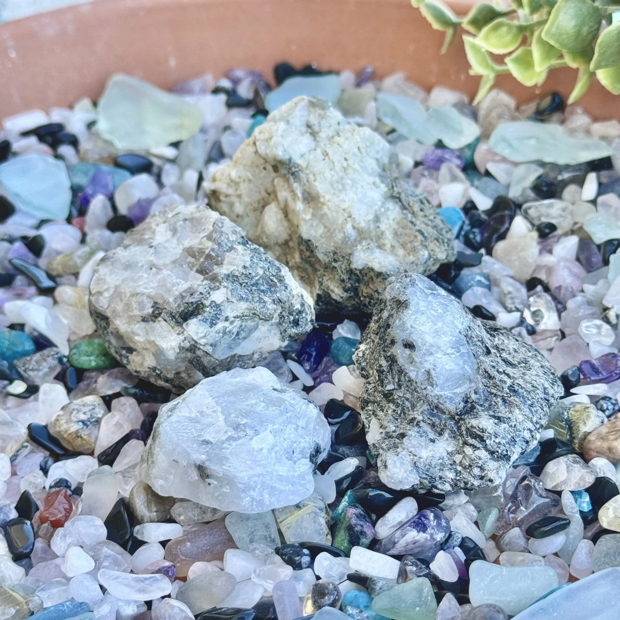 Rainbow Moonstone Raw Crystal Chunks – Natural Unpolished