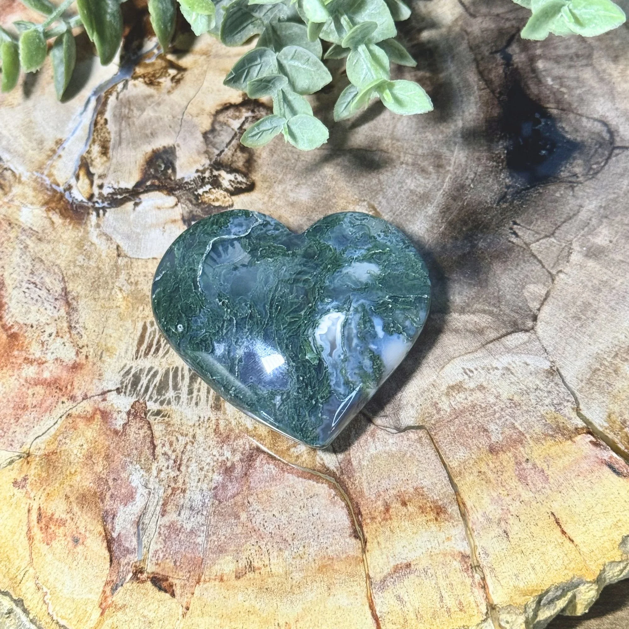 Lay 2.jpg
