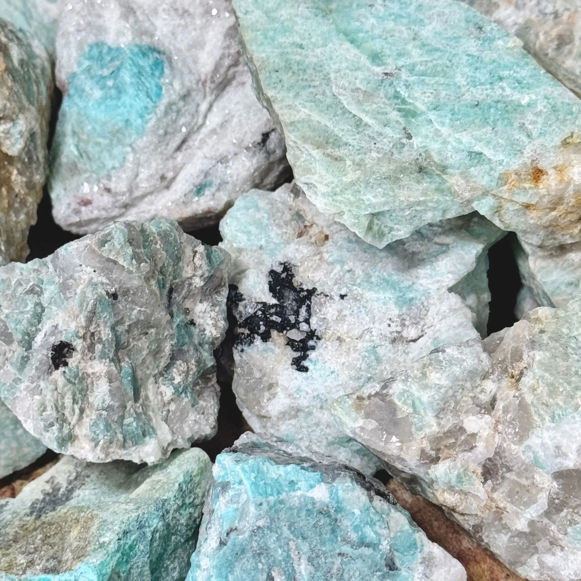 Close Up 2.jpg