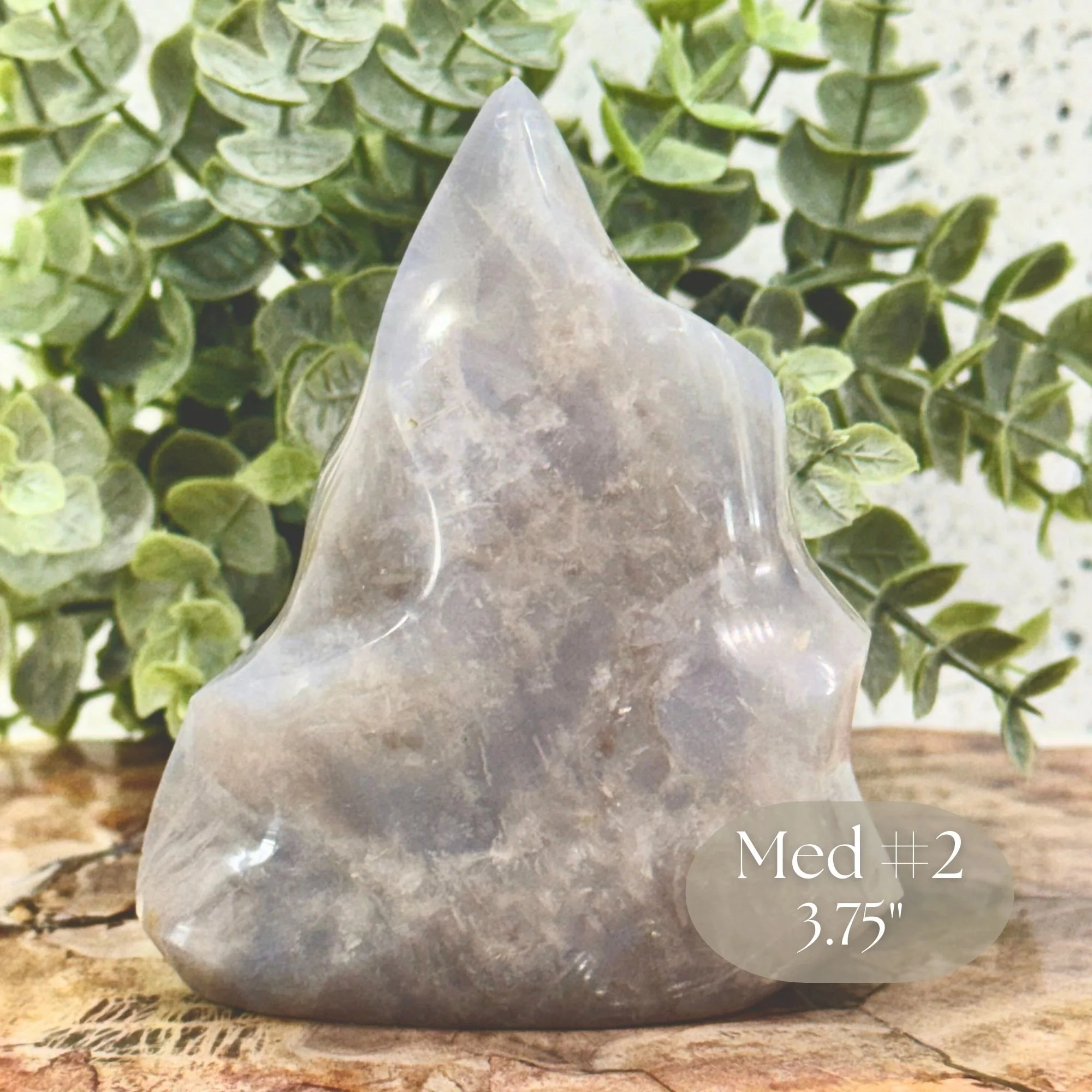 Med #2-3.75_ Close up.jpg