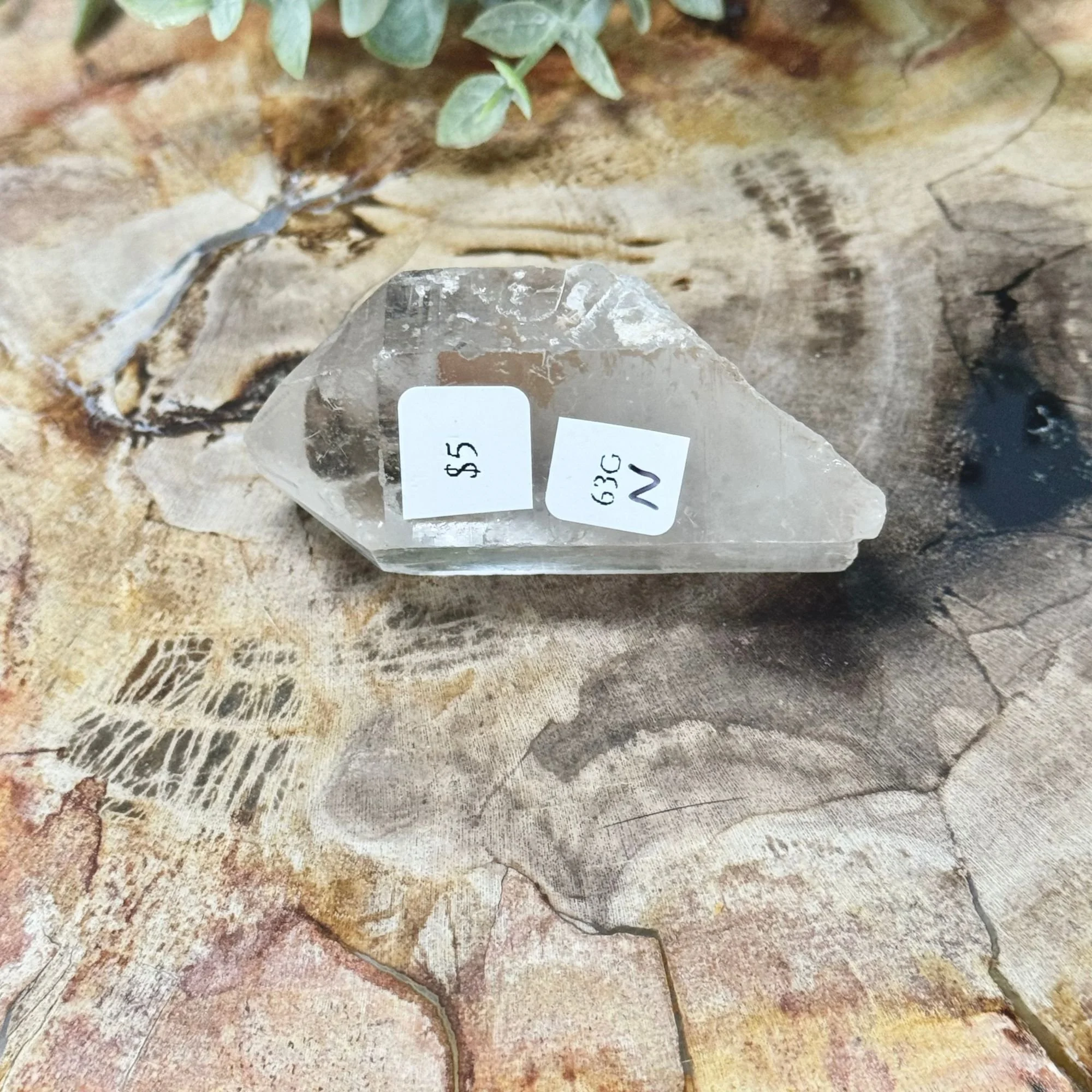 N 2.25_-63g.jpg