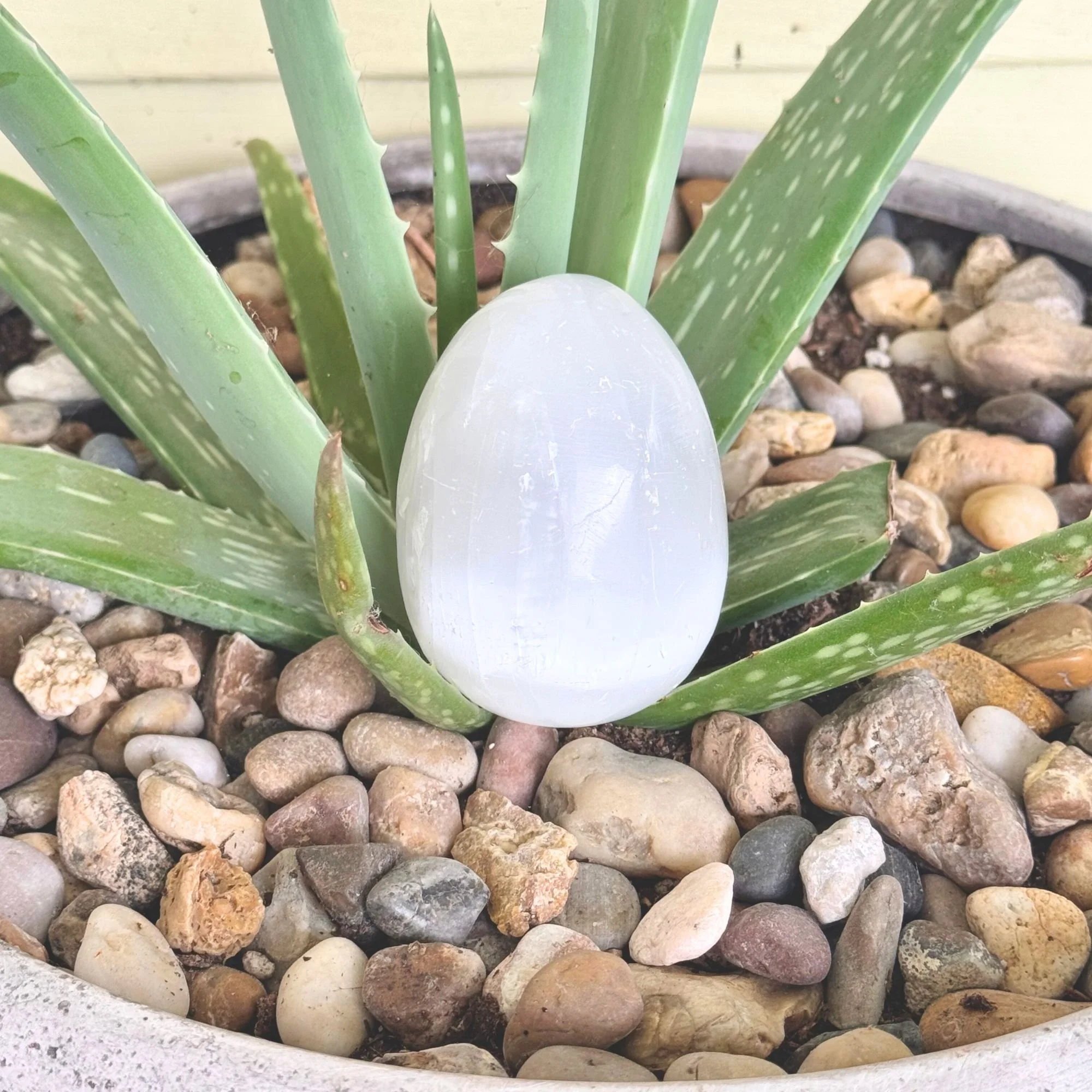 Selenite Egg Carving (2.5 Inches) – Renewal, Cleansing & Spiritual Growth