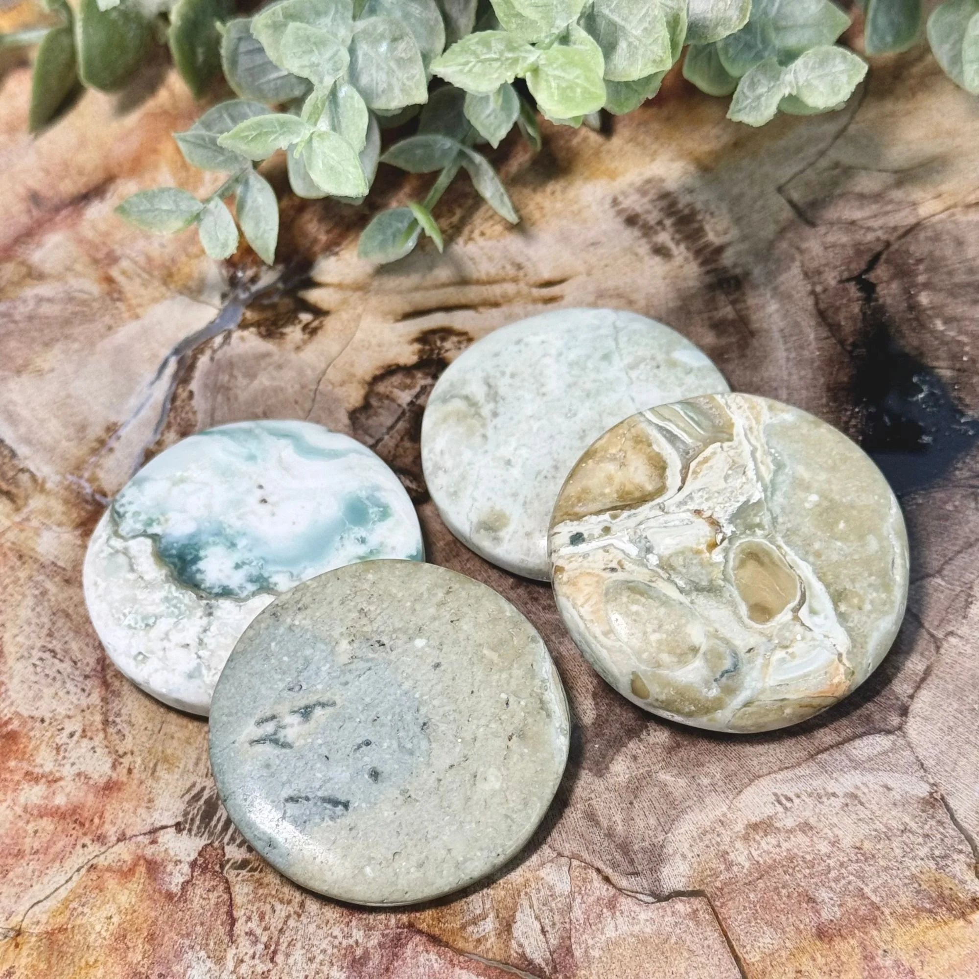 Tree Jasper Round Flat Pocket Stone – Crystal Palm Stone | Grounding & Nature Energy Meditation Stone