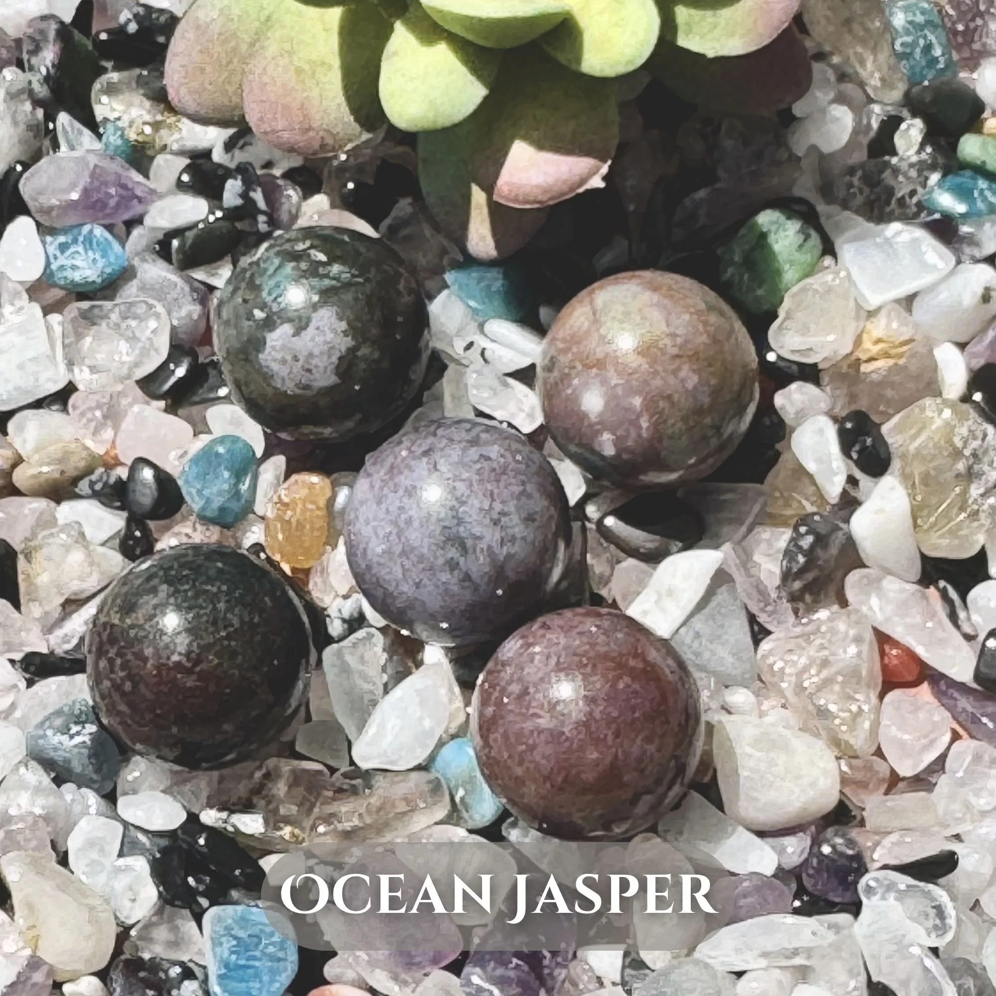 Ocean Jasper.jpg