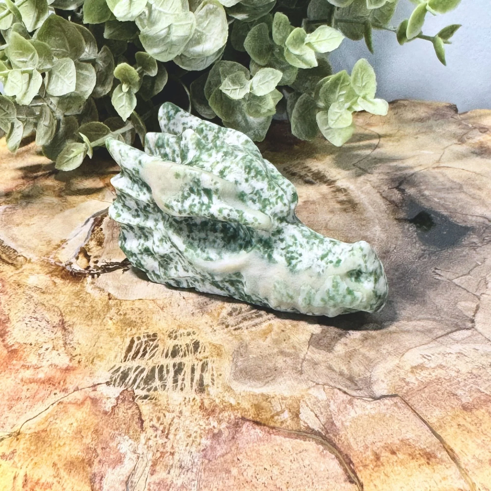 Tree Agate 2.jpg