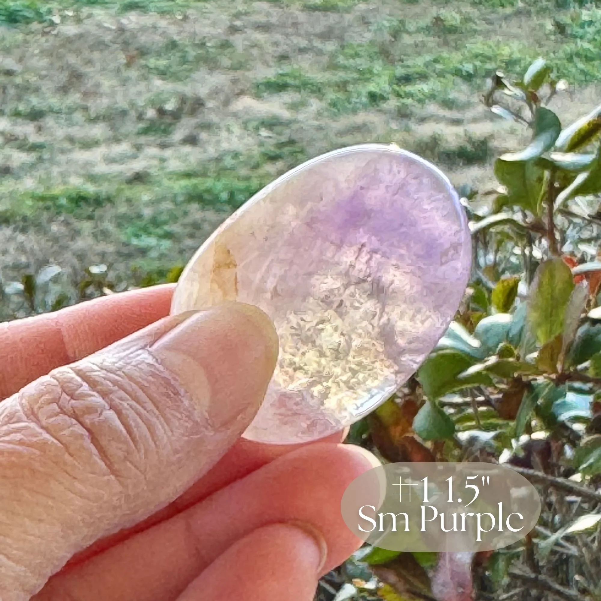 #1-1.5_ Sm Purple (2).jpg