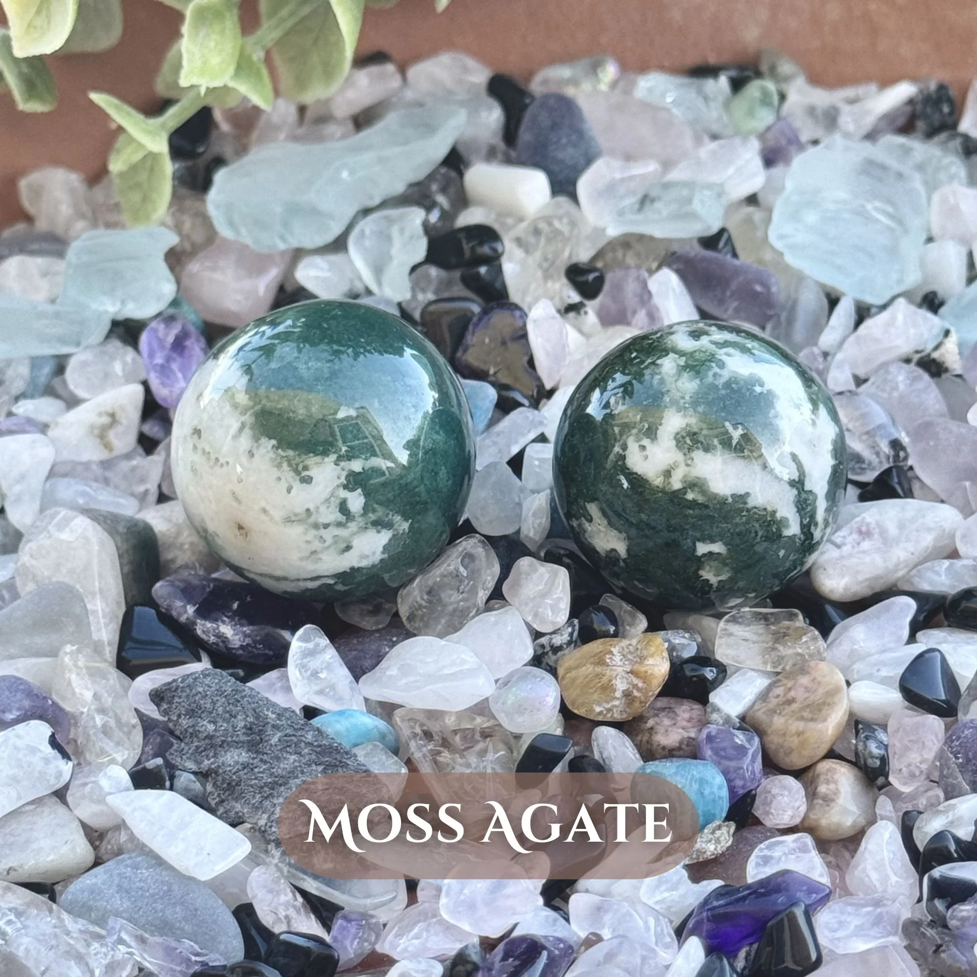 Moss Agate.jpg