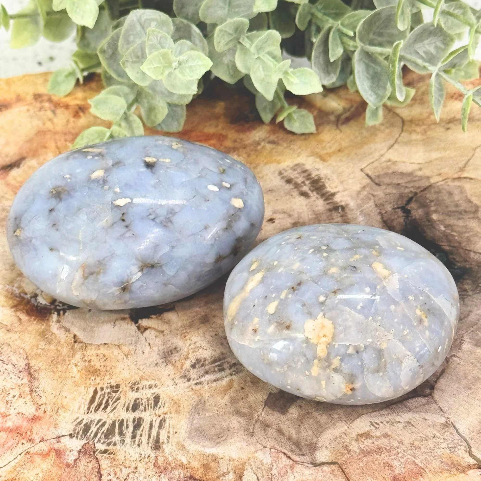 Blue Opal Palm Stones | Calm Communication & Emotional Healing Crystal