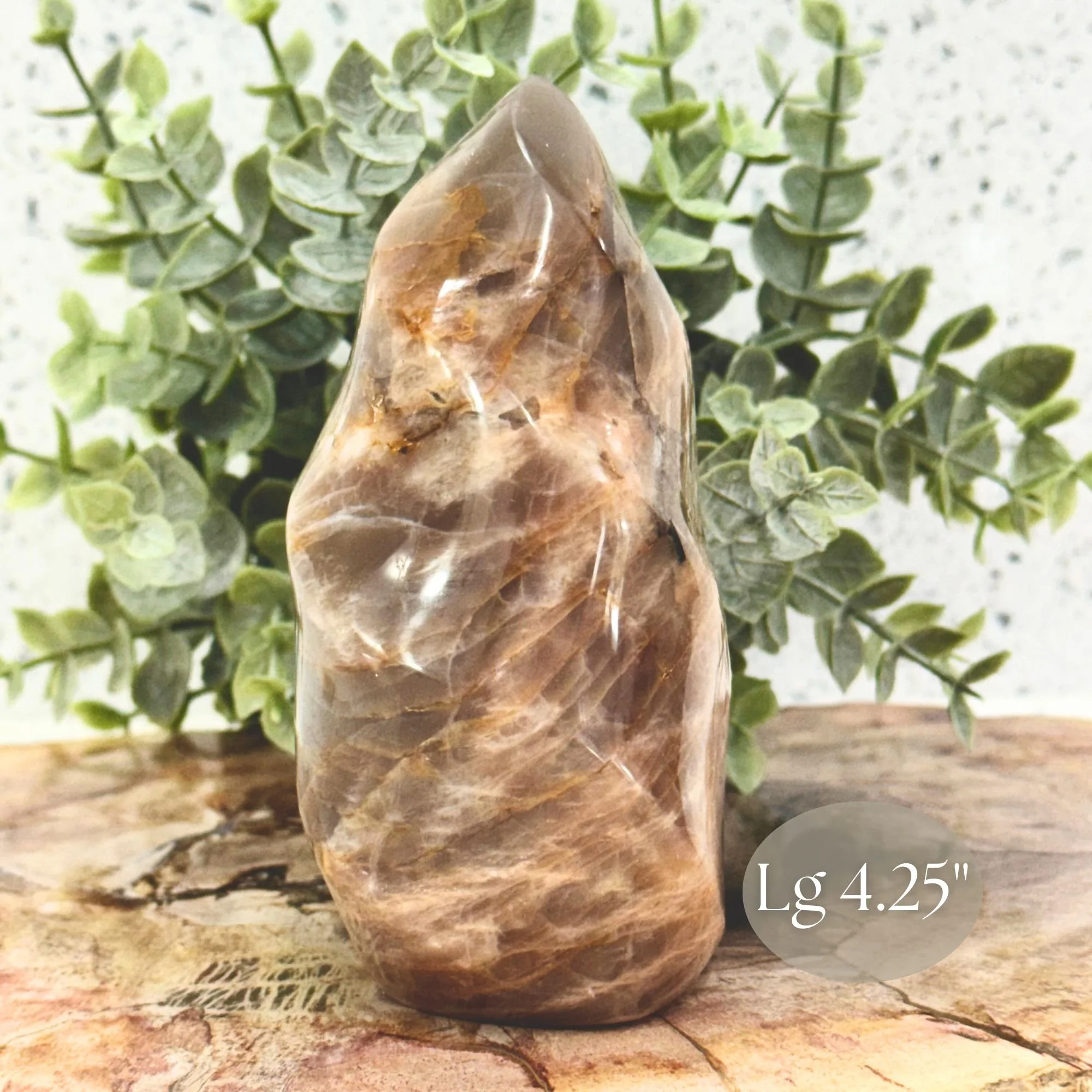 Lg 4.25_ Side Close up.jpg