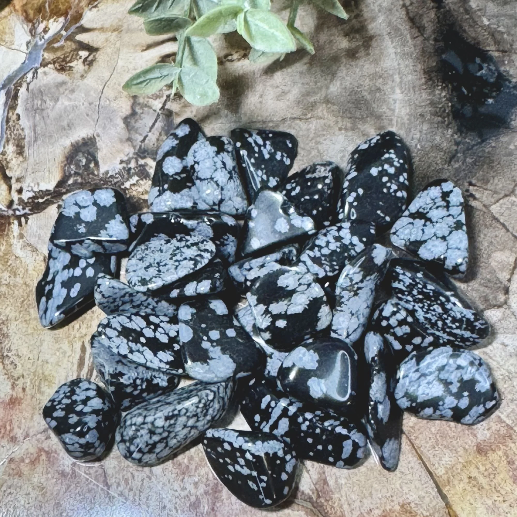 Set Close-Up.jpg