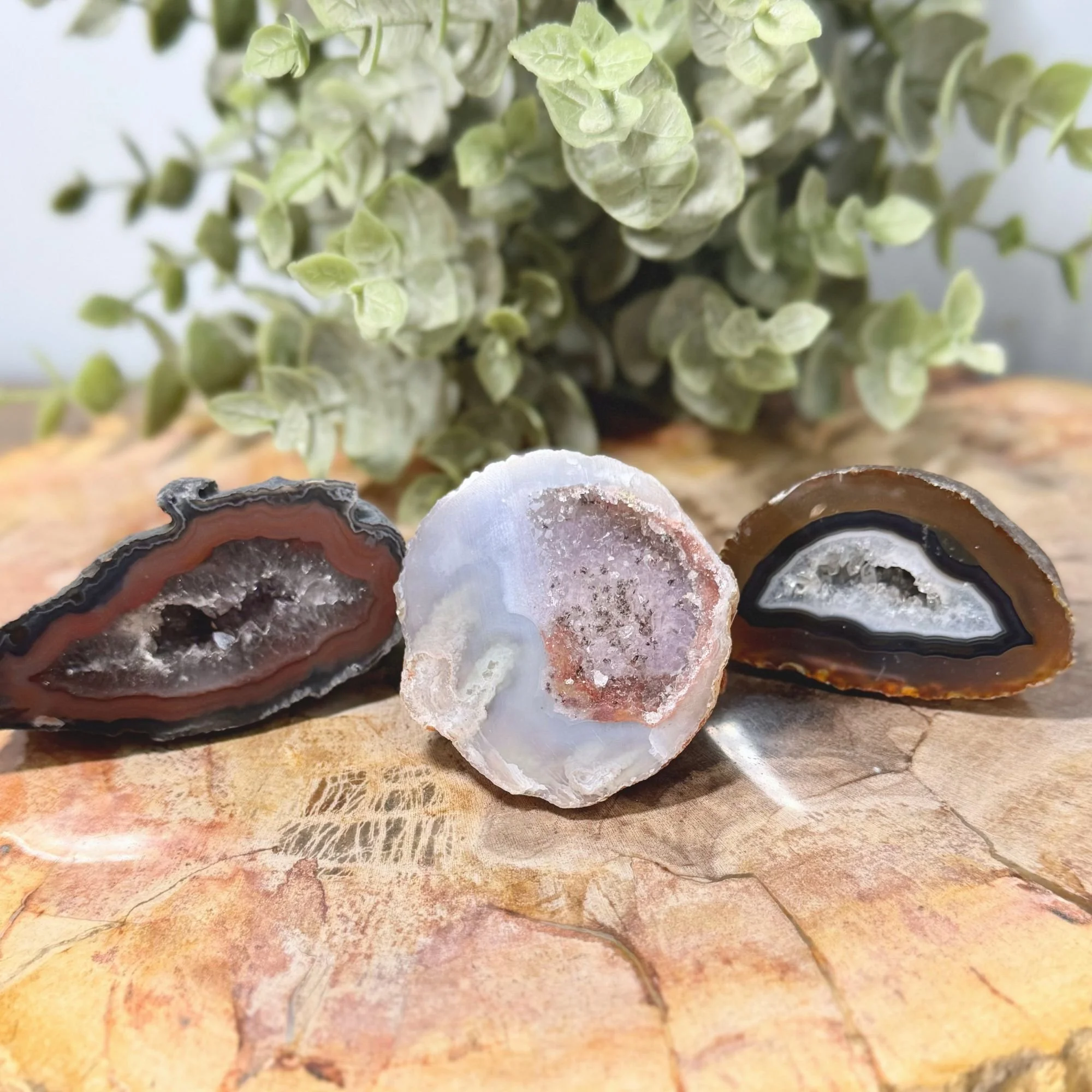 Agate Geode Halves | Natural Crystal Geodes | Balance, Protection & Grounding