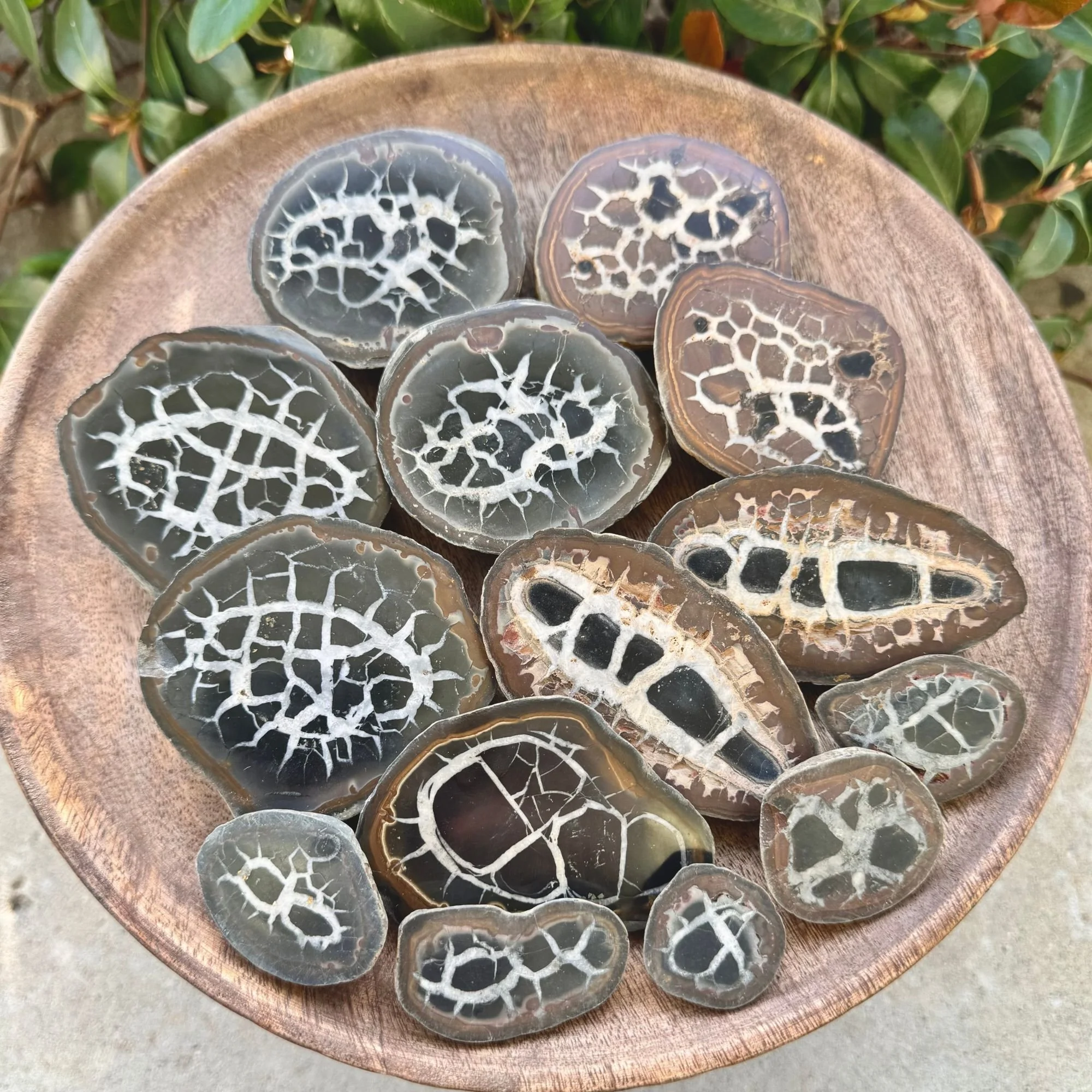 Septarian Nodule Halves | Polished & Natural Crystal | Choose Your Size