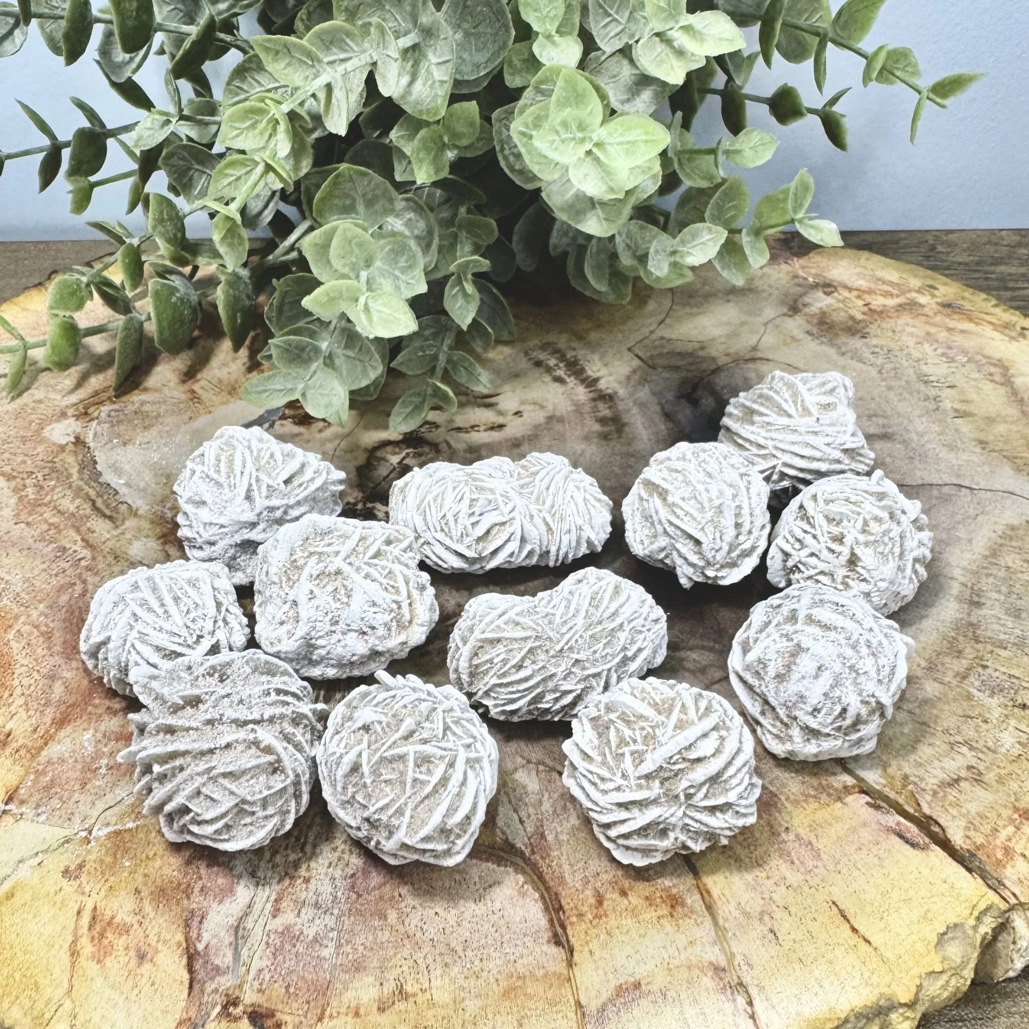 Desert Rose Selenite Crystal | Natural Selenite Rose Formation | Protection & Energy Cleansing Stone