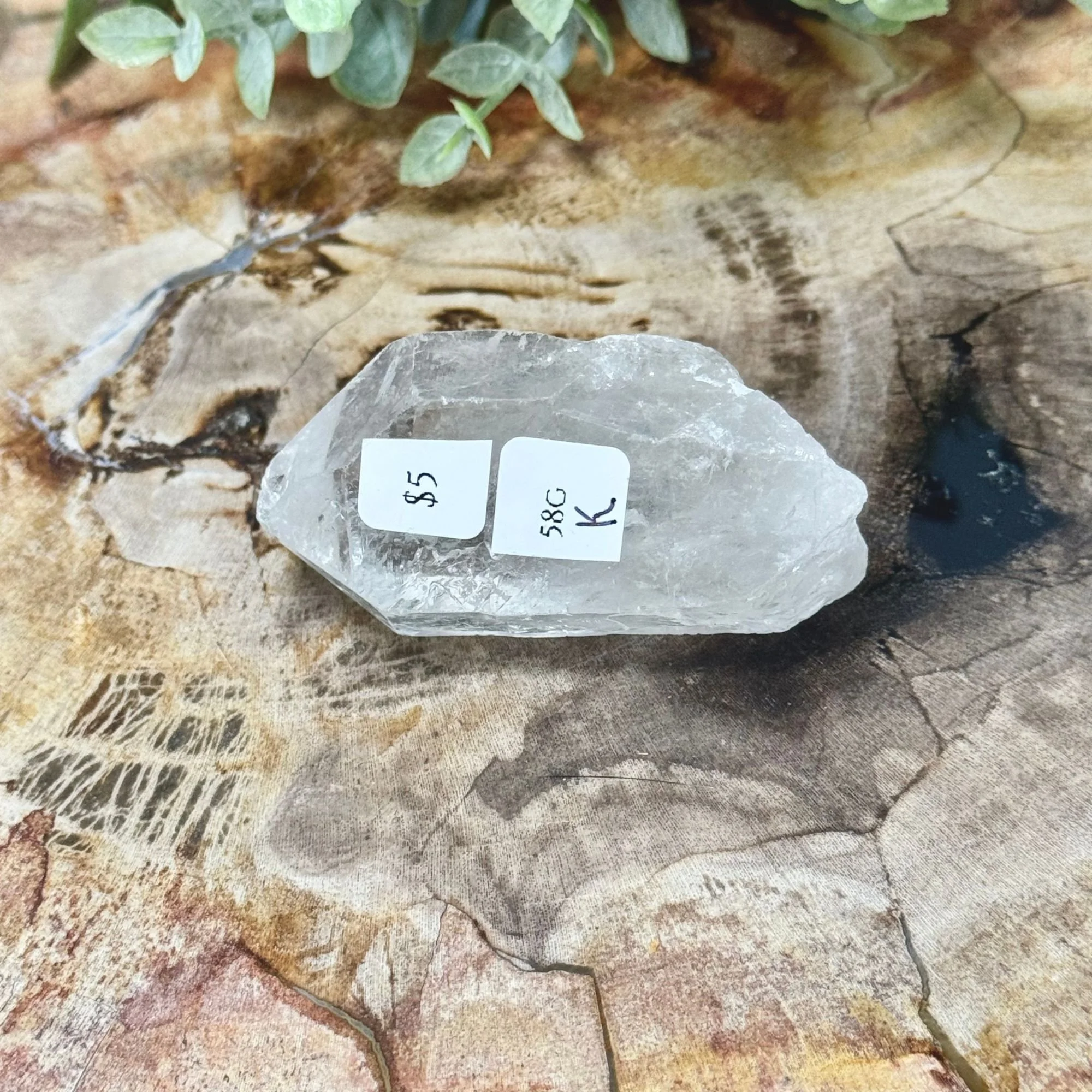 K 2.25_-58g.jpg