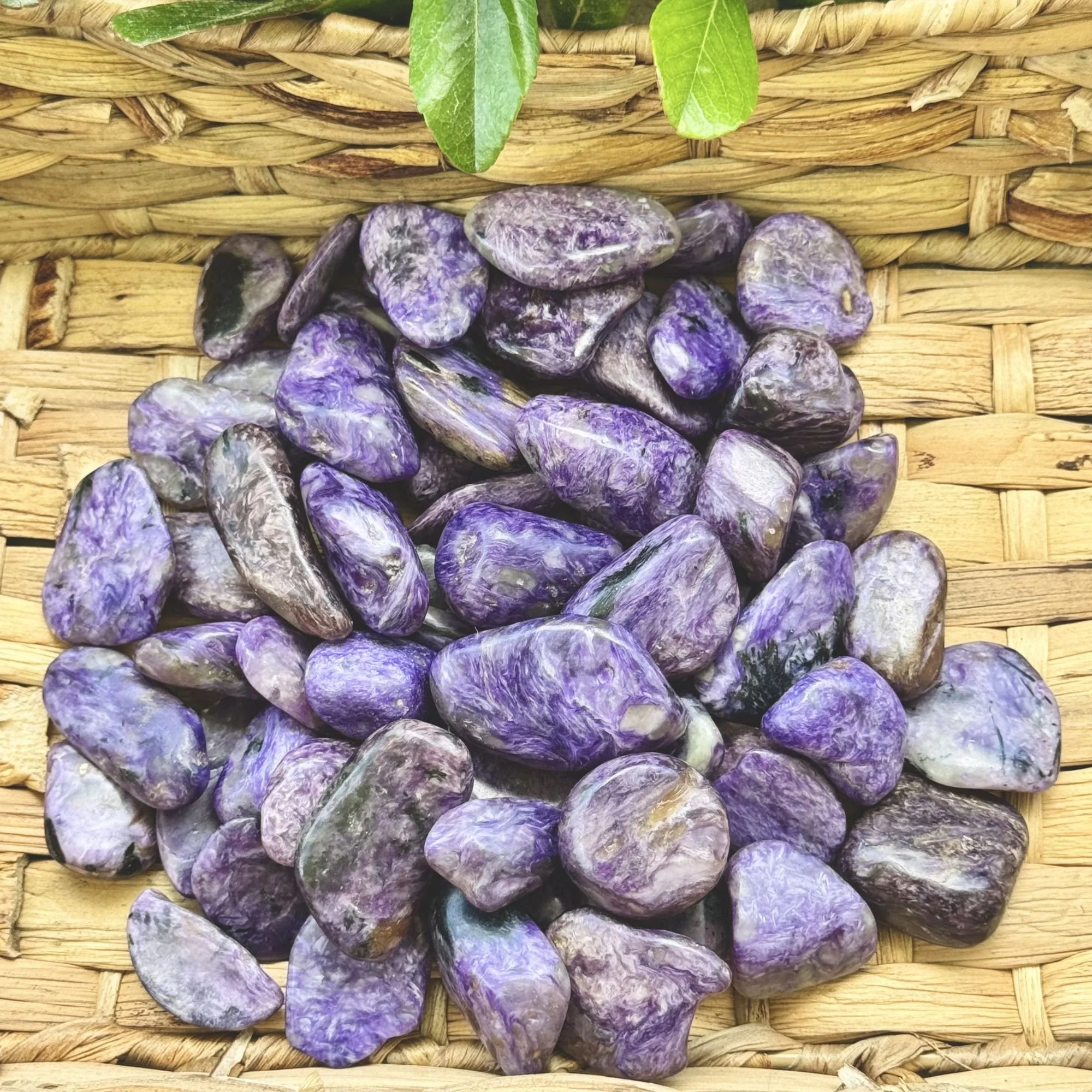 Med-Lg Pieces Alt View.jpg