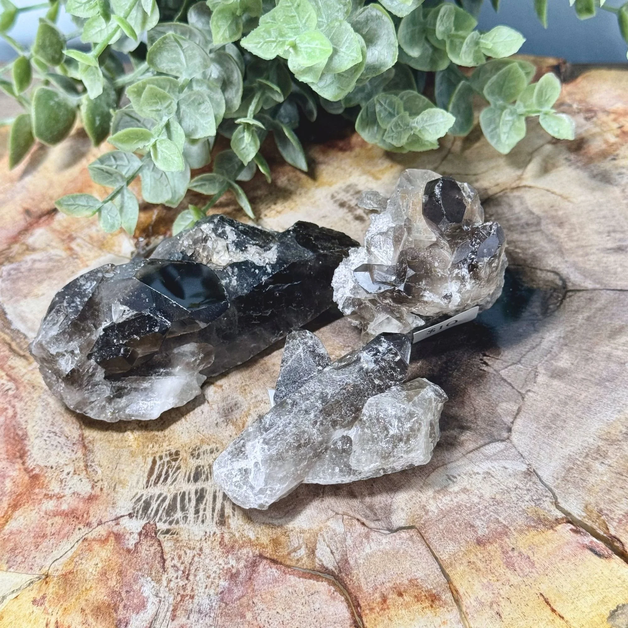 Natural Smoky Quartz Clusters | Grounding Protection Crystal