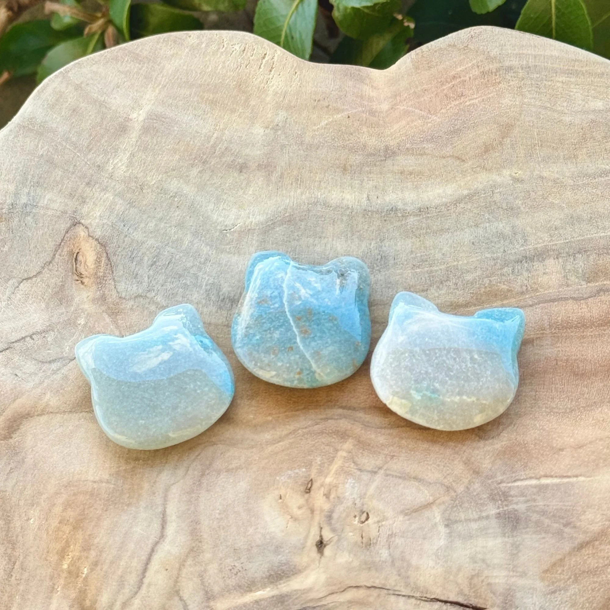 Troilite Flat Pocket Kitties (Cat Head Shape) | Protection, Strength & Spiritual Grounding Crystal