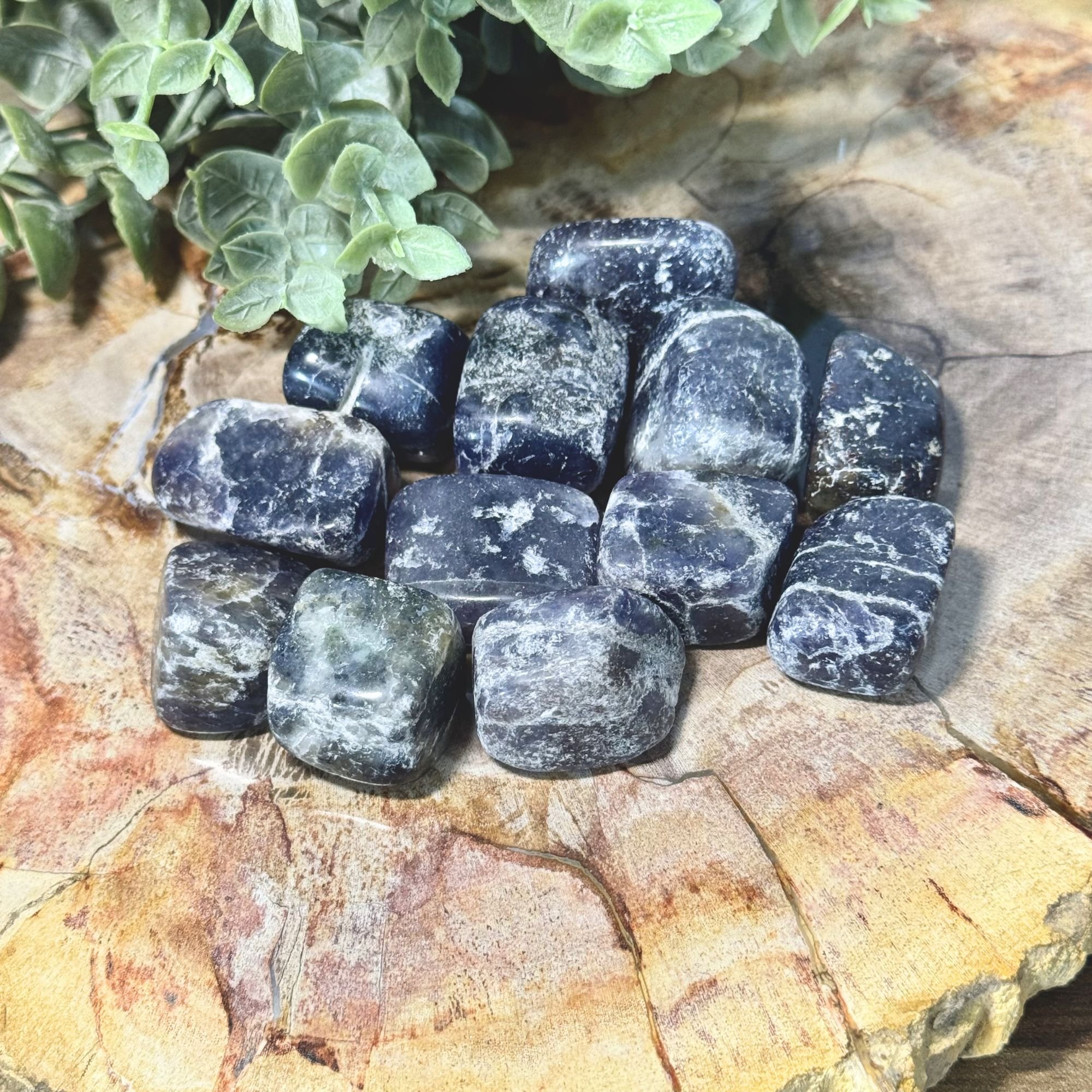 Iolite Tumbled Stone | Vision, Intuition & Spiritual Guidance Crystal