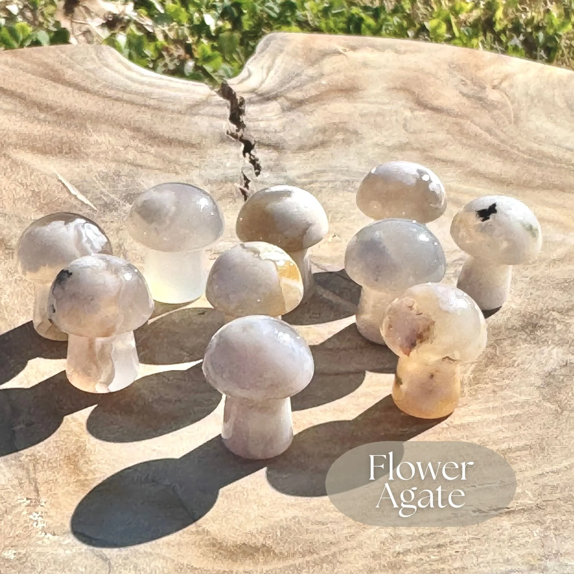 Flower Agate 2.jpg