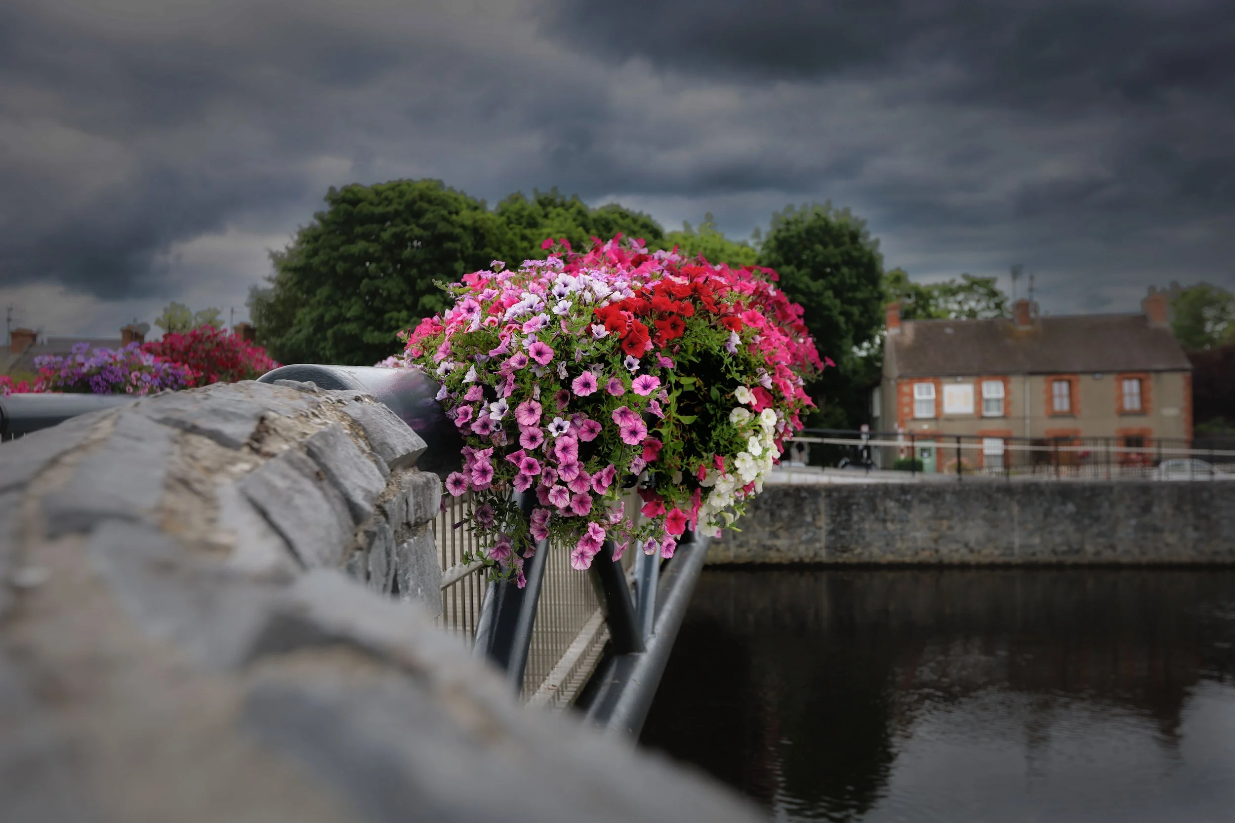 Irlanda Limeric igeras-8.JPG