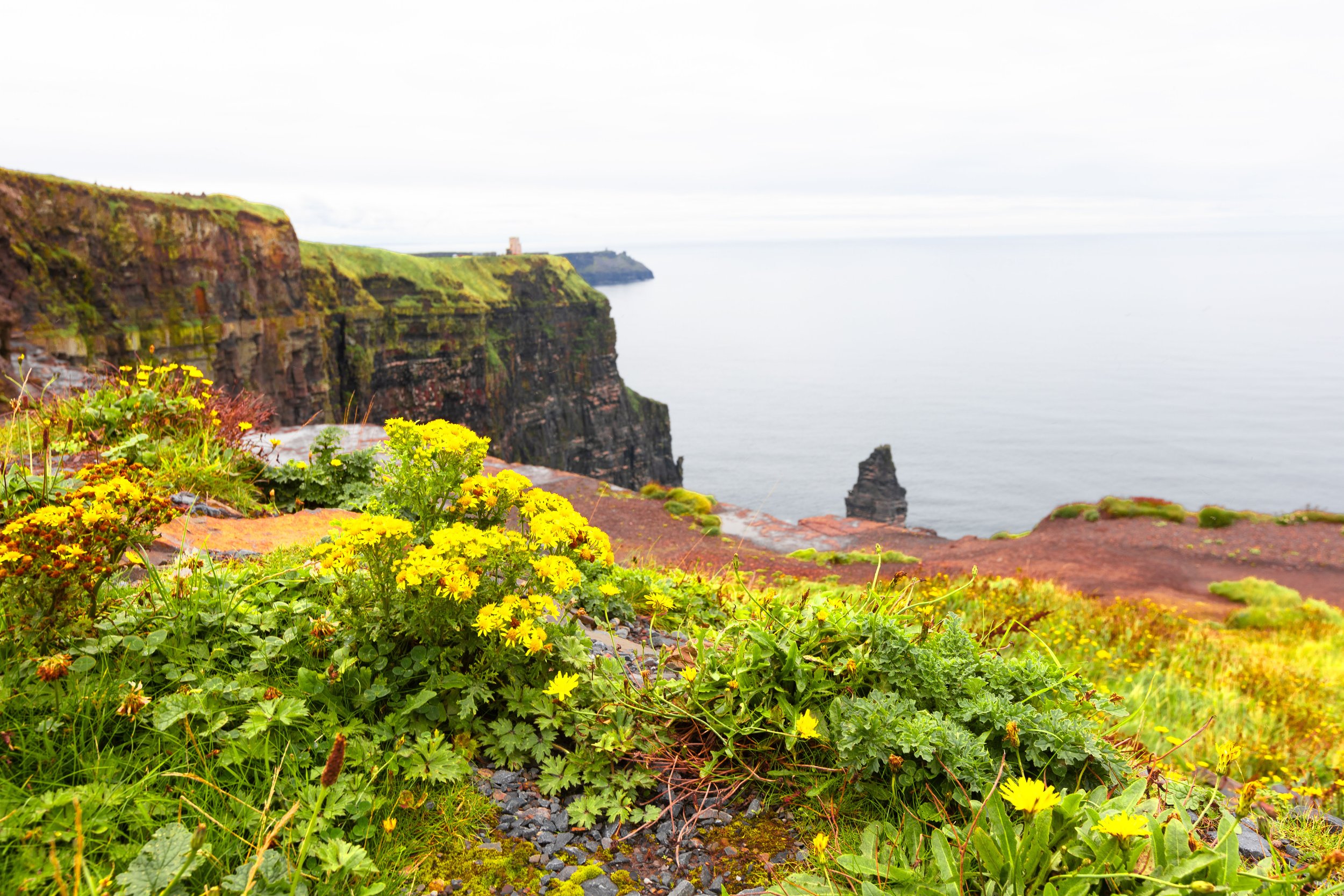 Irlanda lCliffs igeras-4.JPG