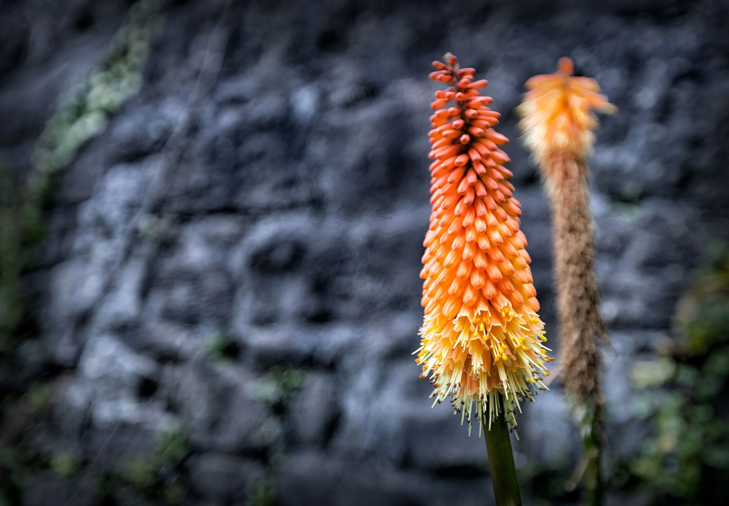 Irlanda Limeric igeras-4.JPG