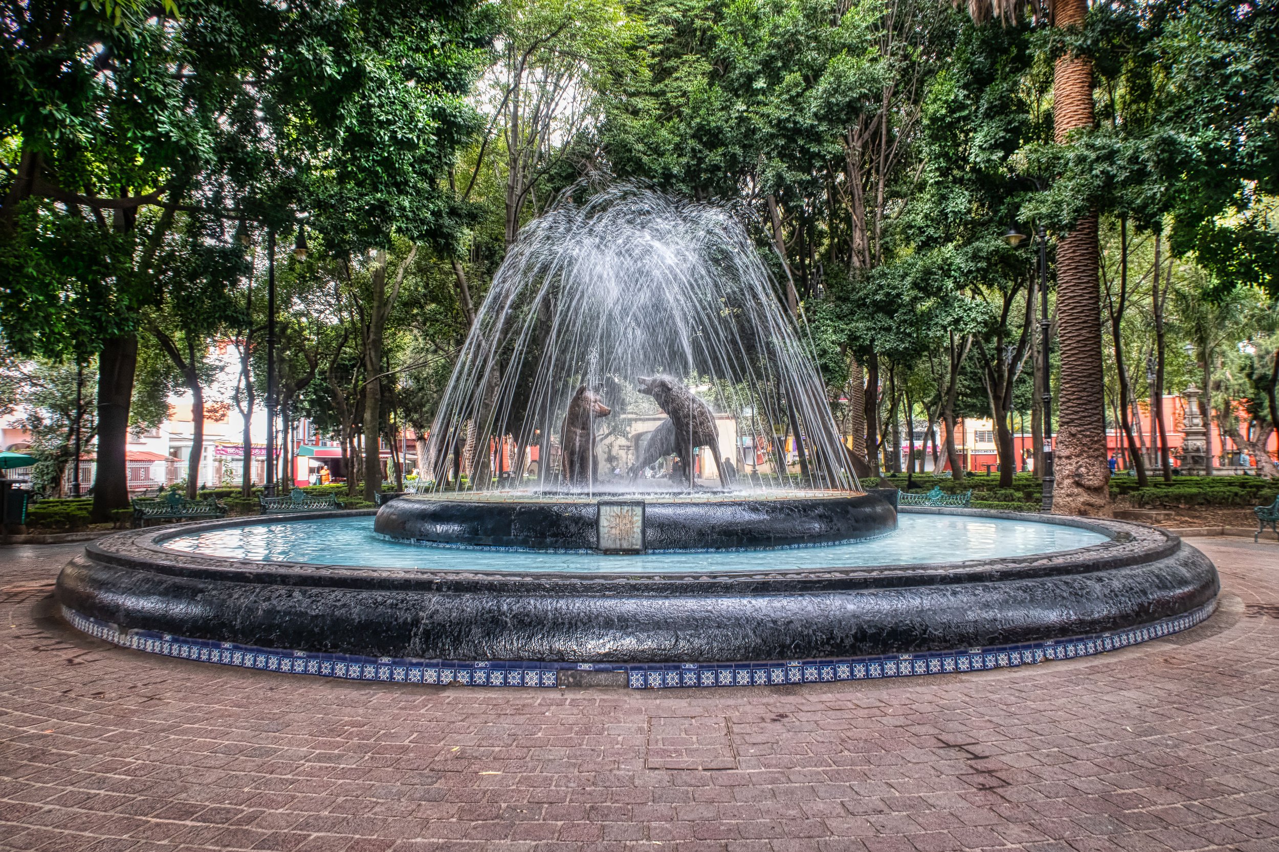 CDMX  Ligeras-2.JPG