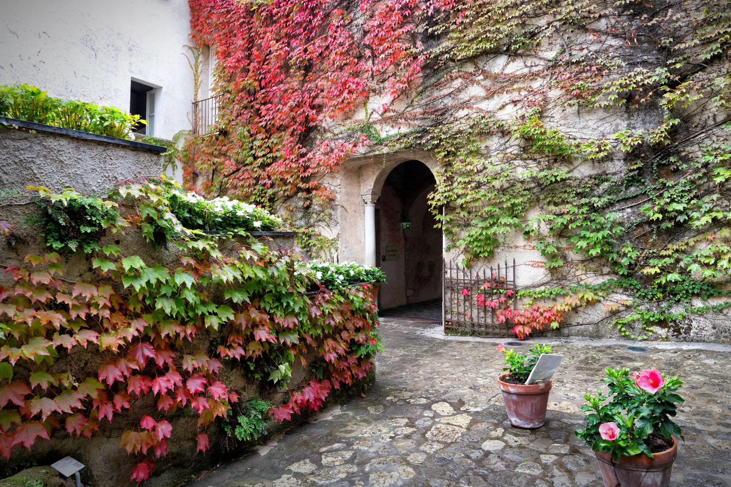 Italia  ligeras-9.JPG
