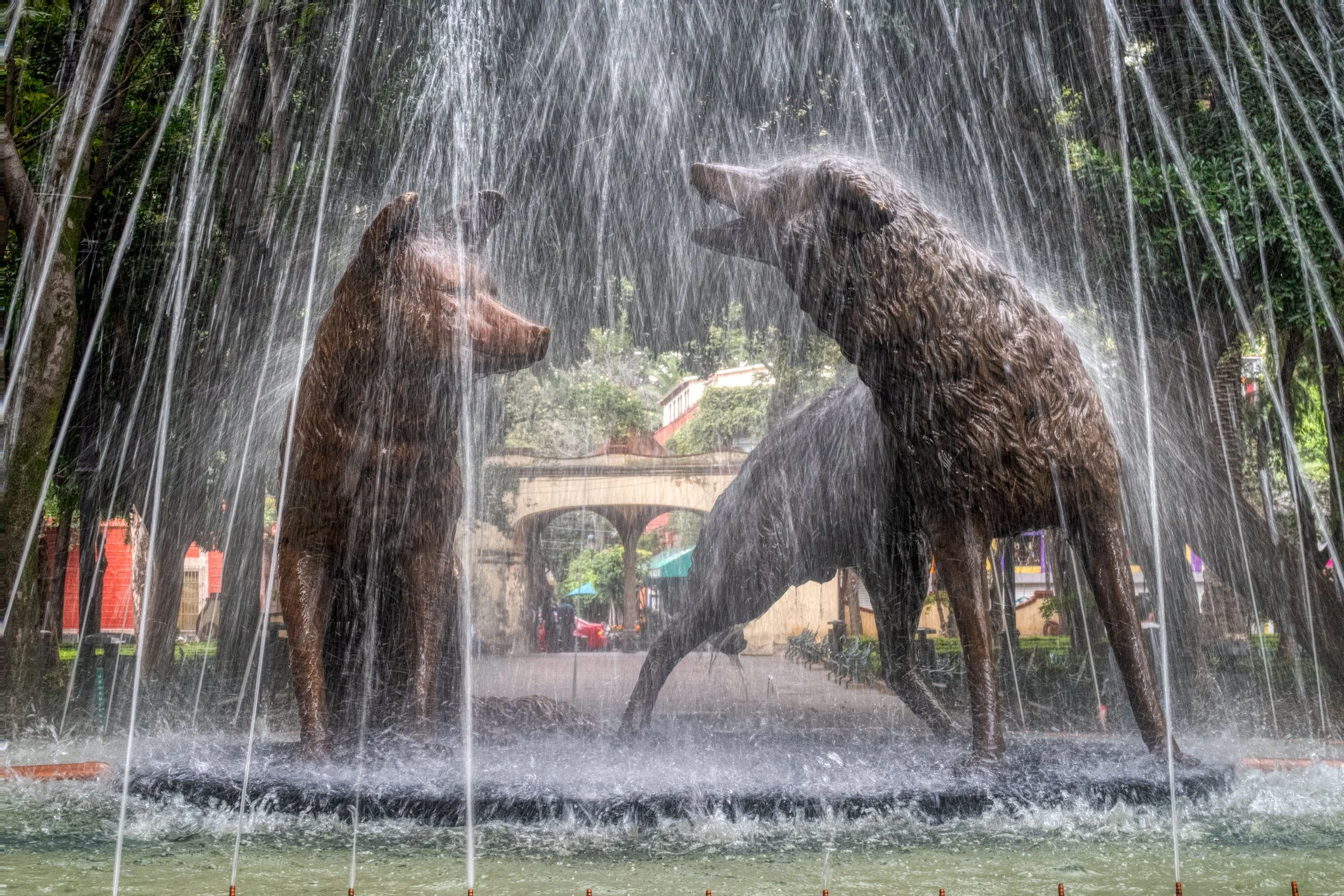 CDMX  Ligeras-4.JPG