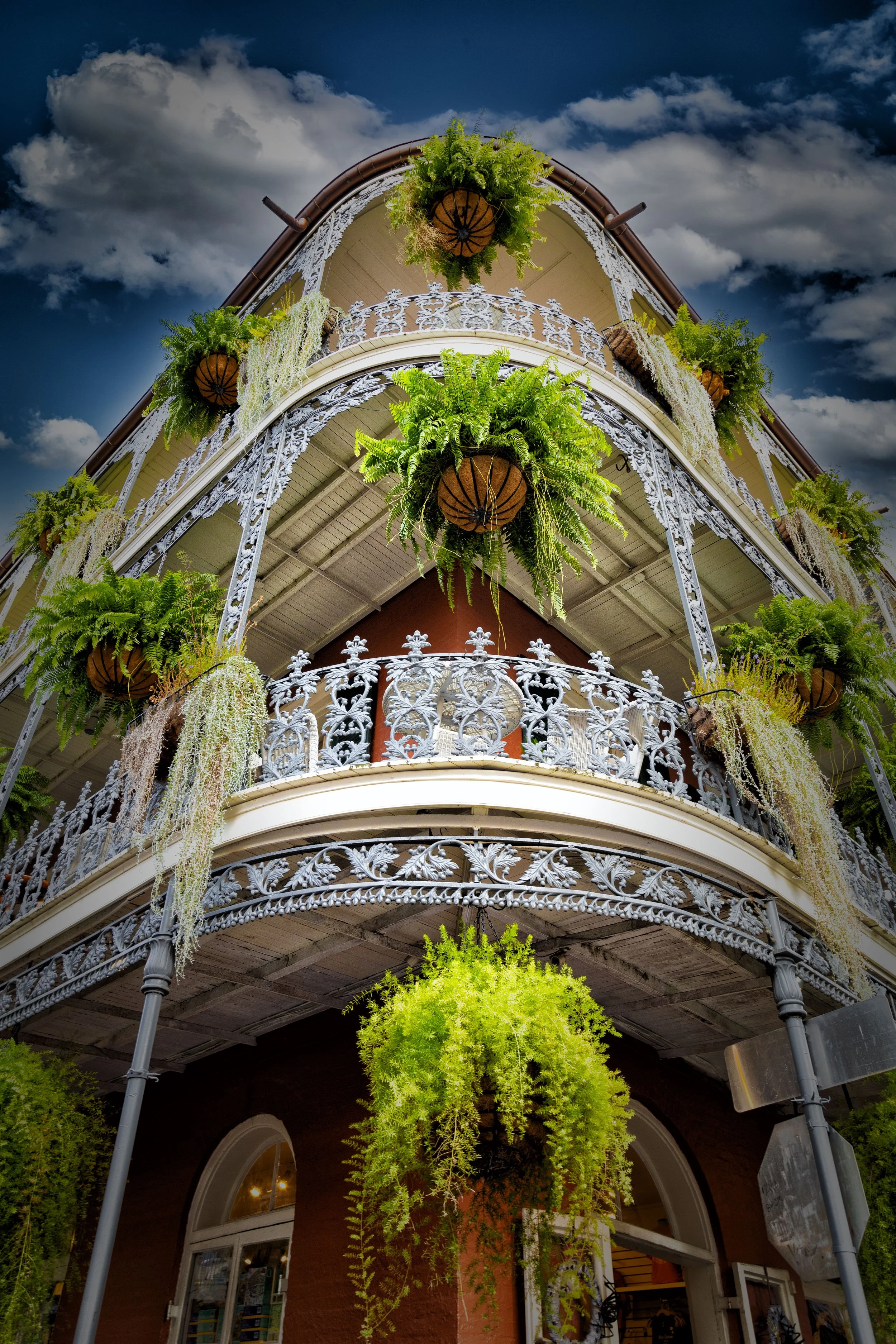 New Orleans ligeras-12.JPG