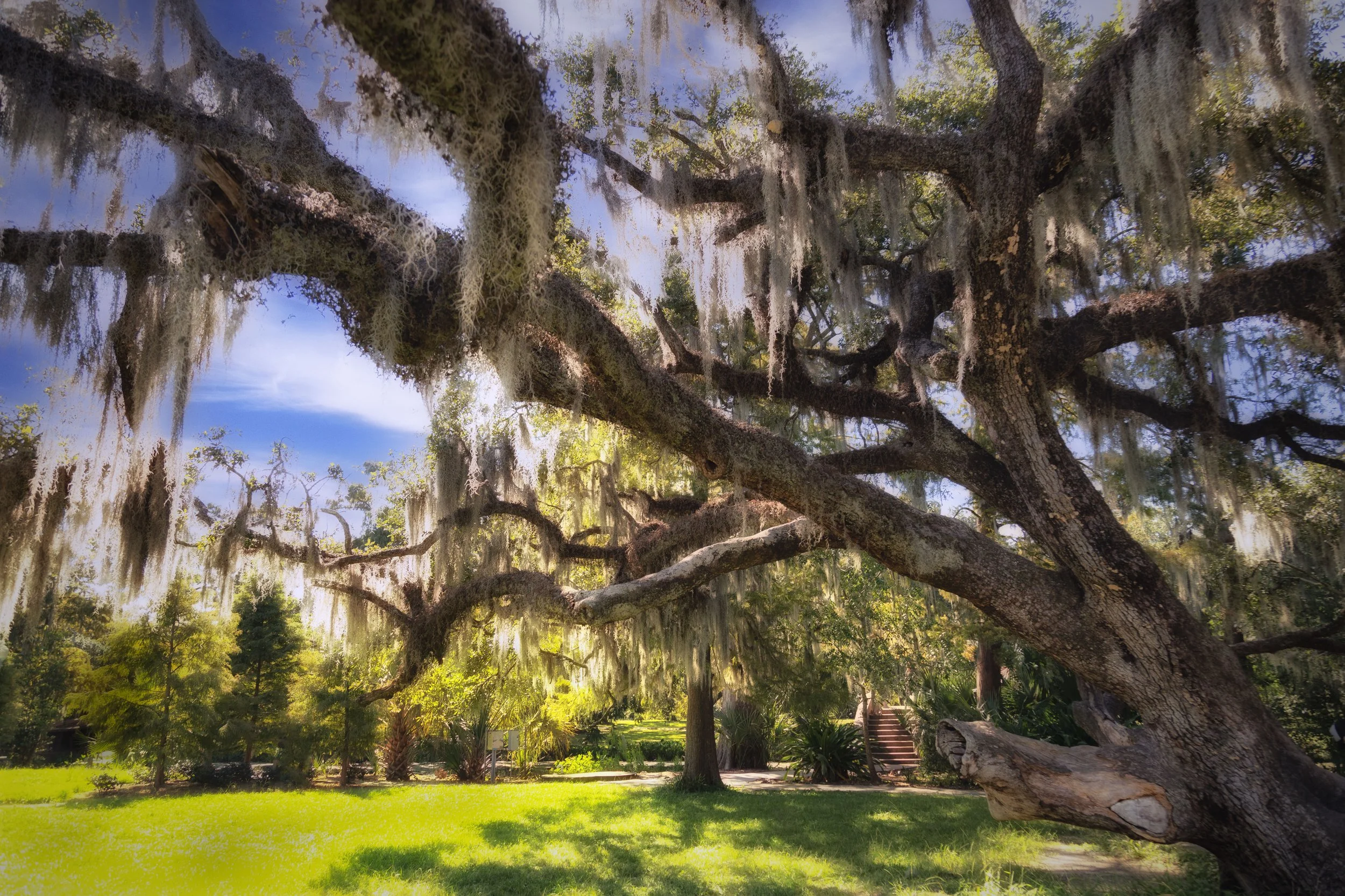 New Orleans ligeras-24.JPG