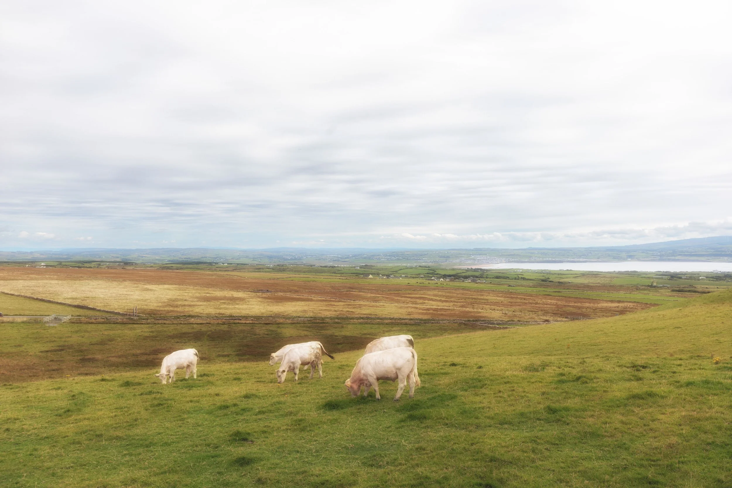 Irlanda lCliffs igeras-6.JPG