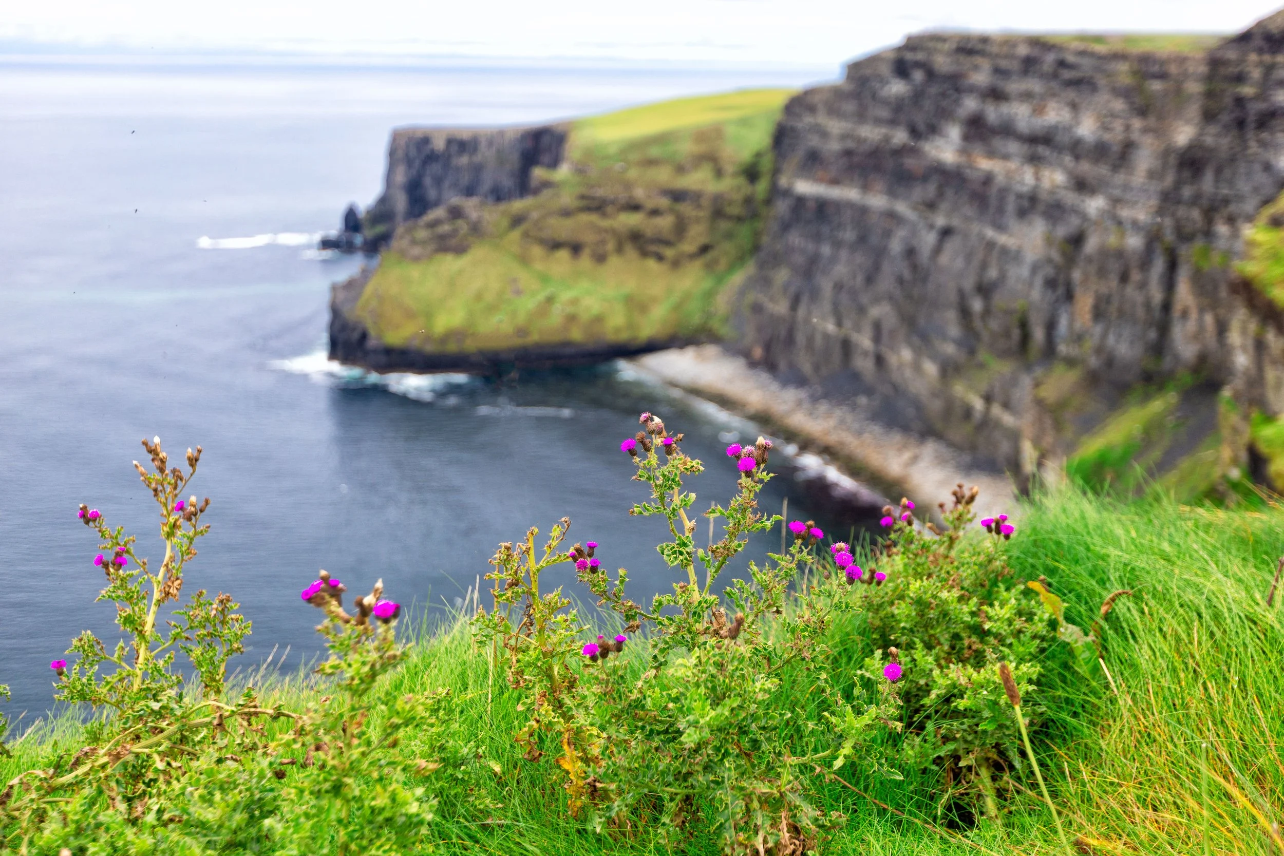 Irlanda lCliffs igeras-2.JPG