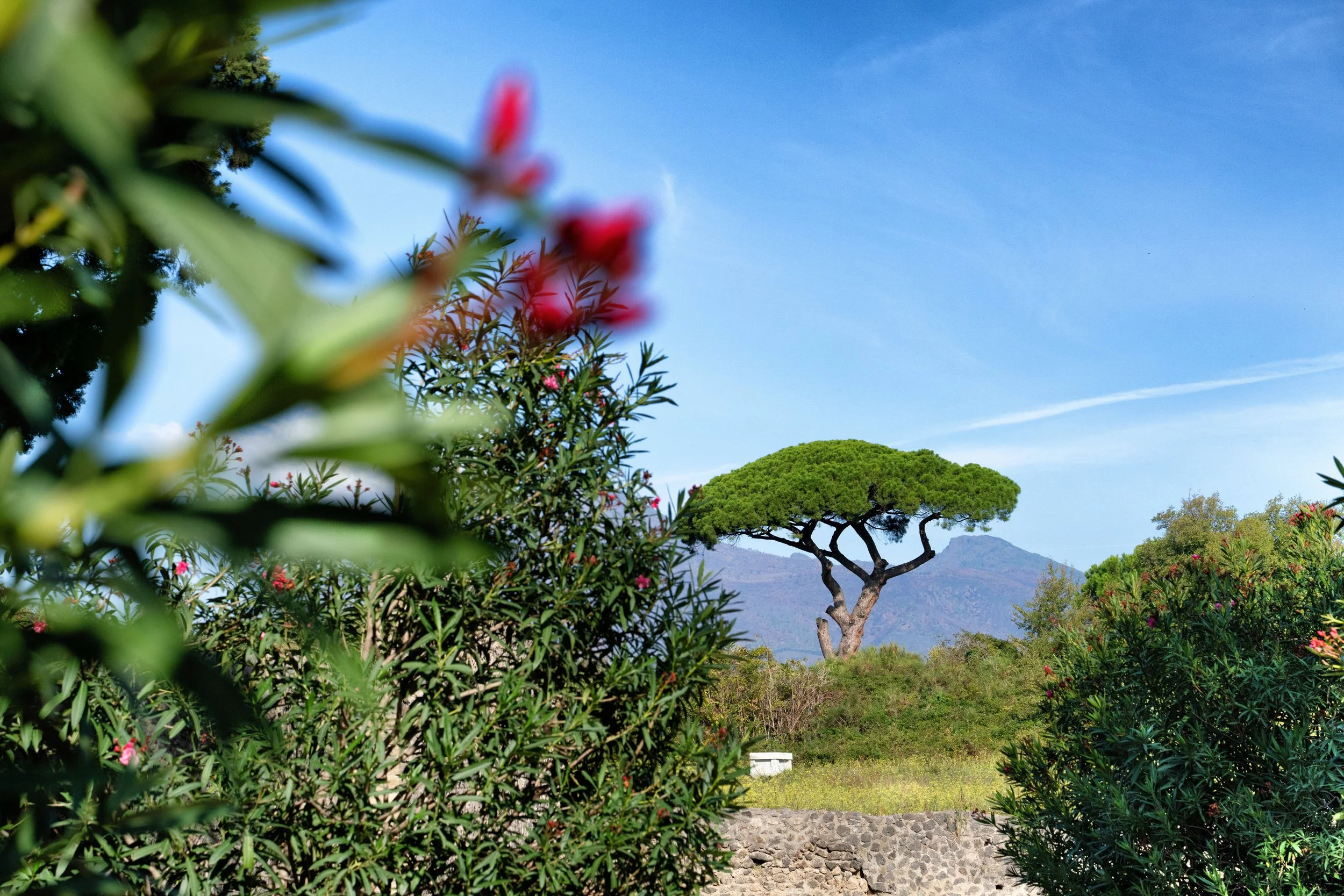 Pompeya-9.JPG