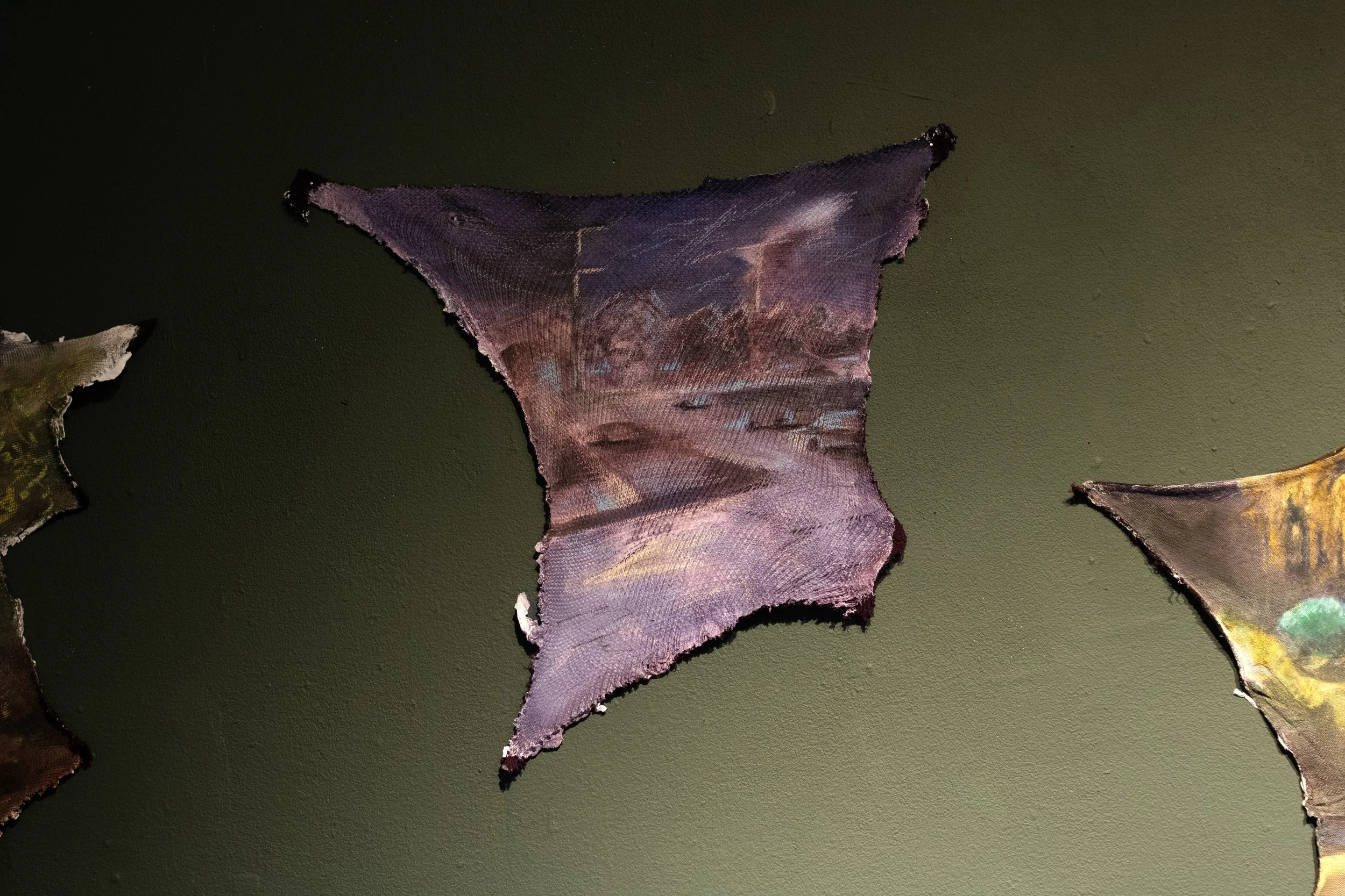 Close-up of a bat wing on a green background, showing the wing's texture and coloration.