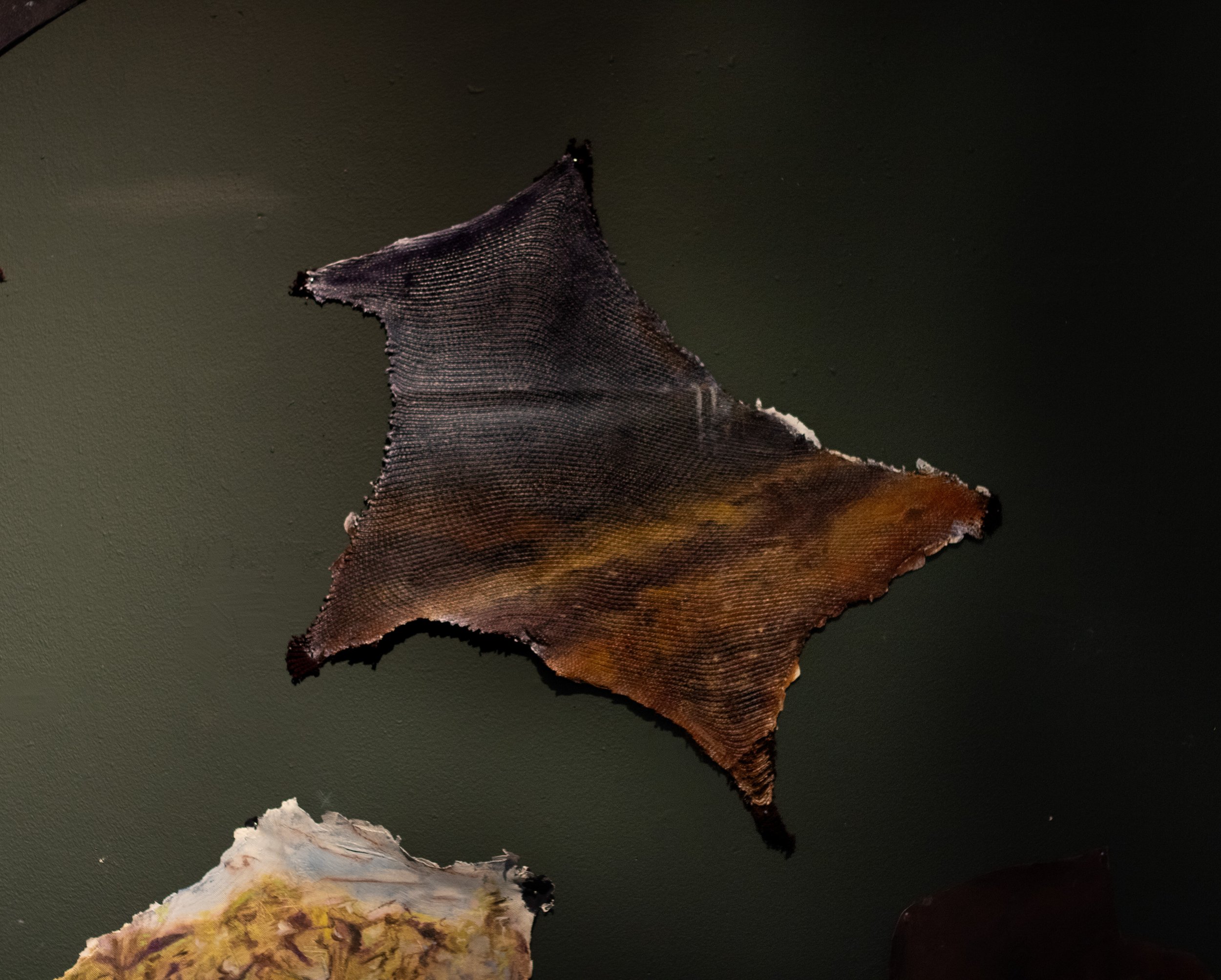 A wall art piece resembling a starfish, crafted from textured, worn fabric with a dark, earthy color palette, mounted on a muted green wall.