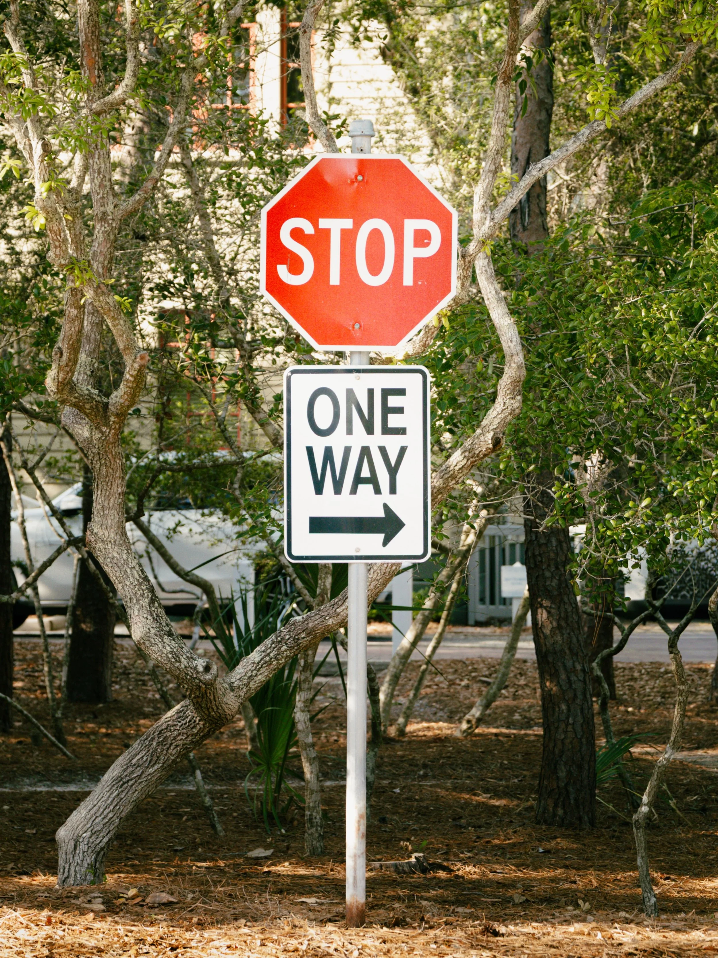 Next STOP: a random street in Seaside

#seasidefl #floridaphotographer #creative #creator #streetphotography