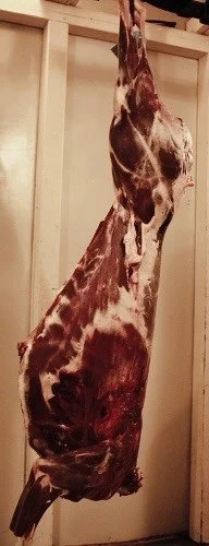 A large carcass of a hanging animal, likely a cow or similar, in a butcher or processing area.