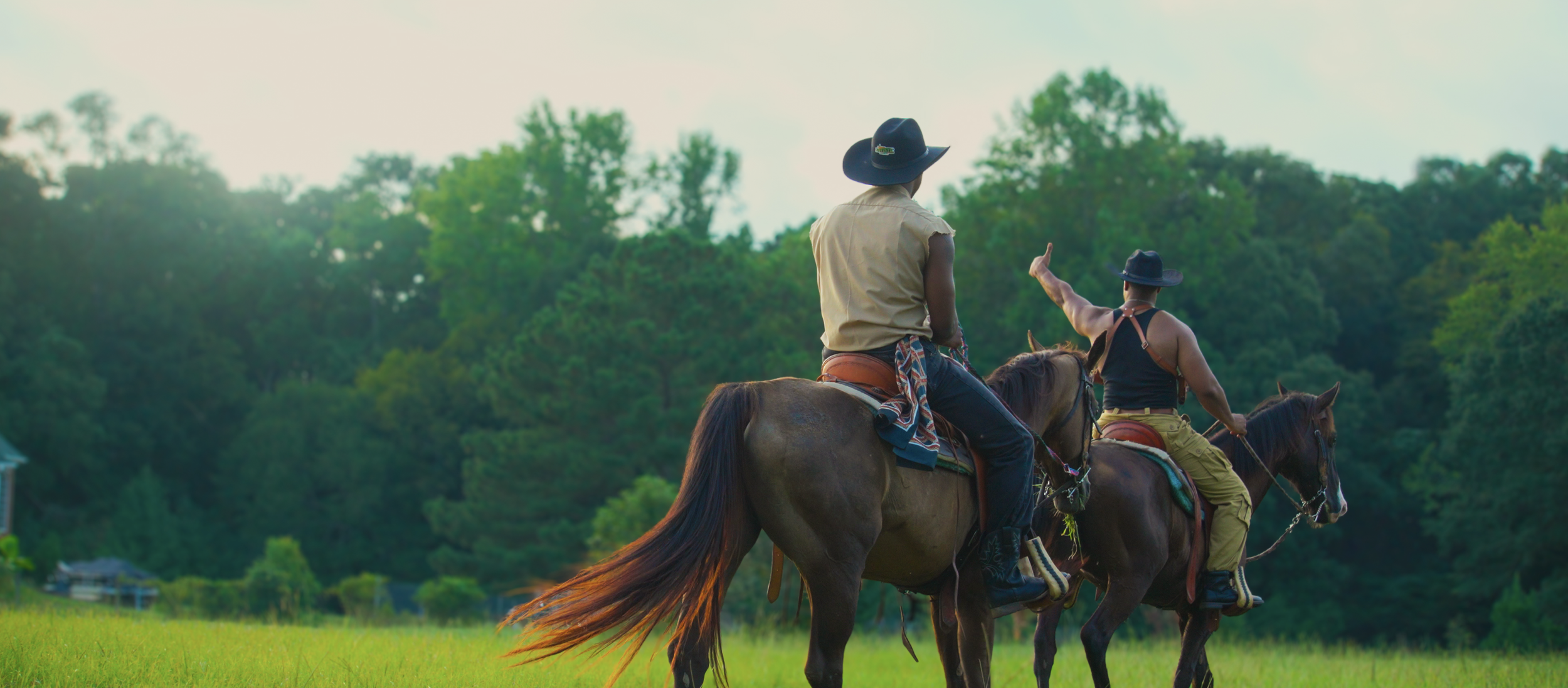 Two people riding horses in a grassy field with a background of trees, one person is pointing while the other is looking on.