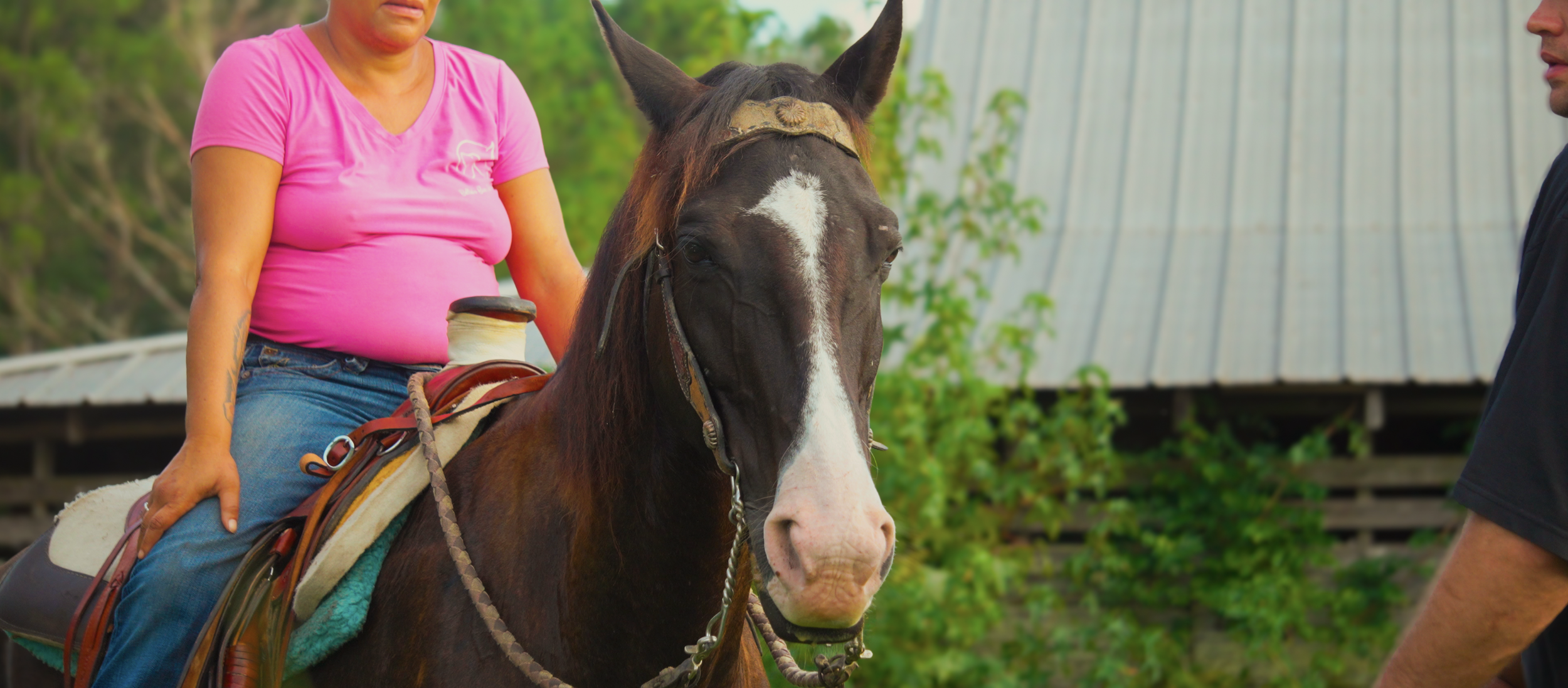 A woman wearing a pink shirt riding a brown and white horse, with a man standing nearby. The woman is sitting on the horse with a saddle, and the horse is equipped with a bridle and reins. There is a background of trees and a shed.